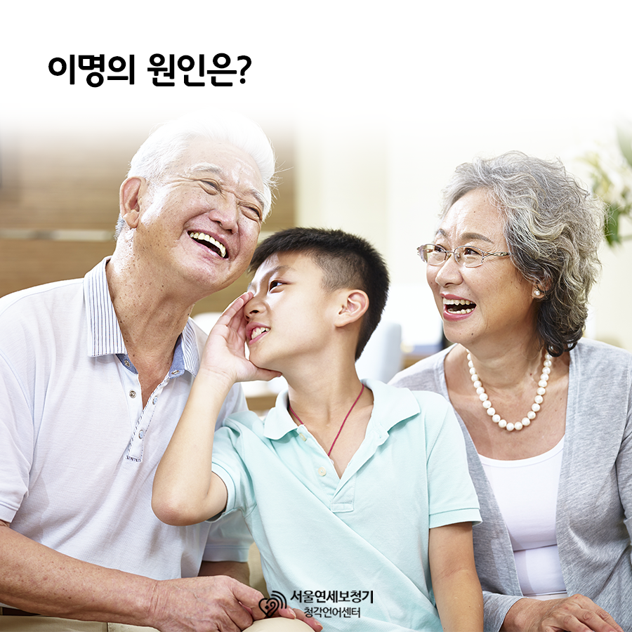 서울연세보청기 청각언어센터