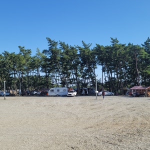 몽산포힐링캠핑장