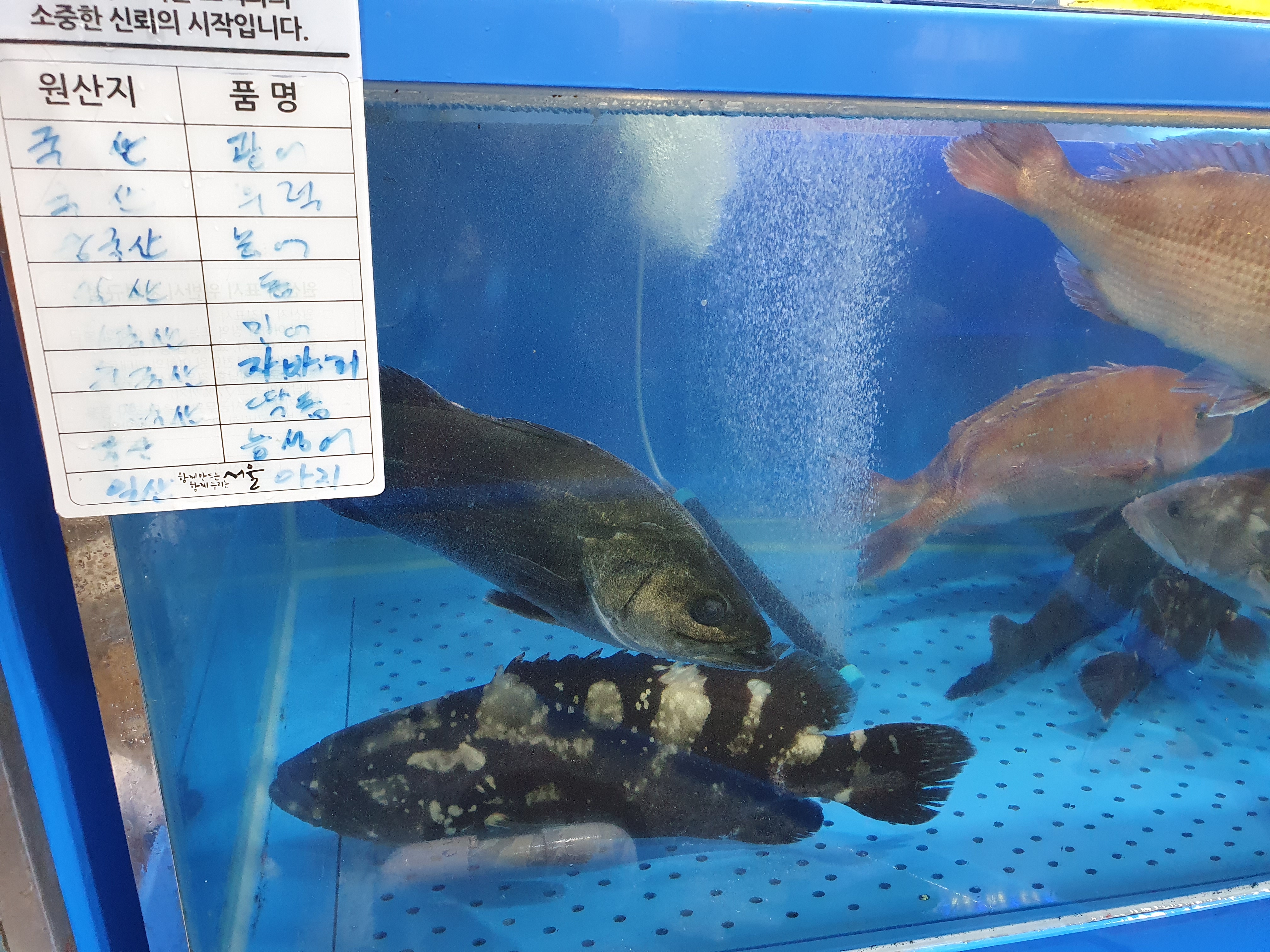창대수산 신안횟집