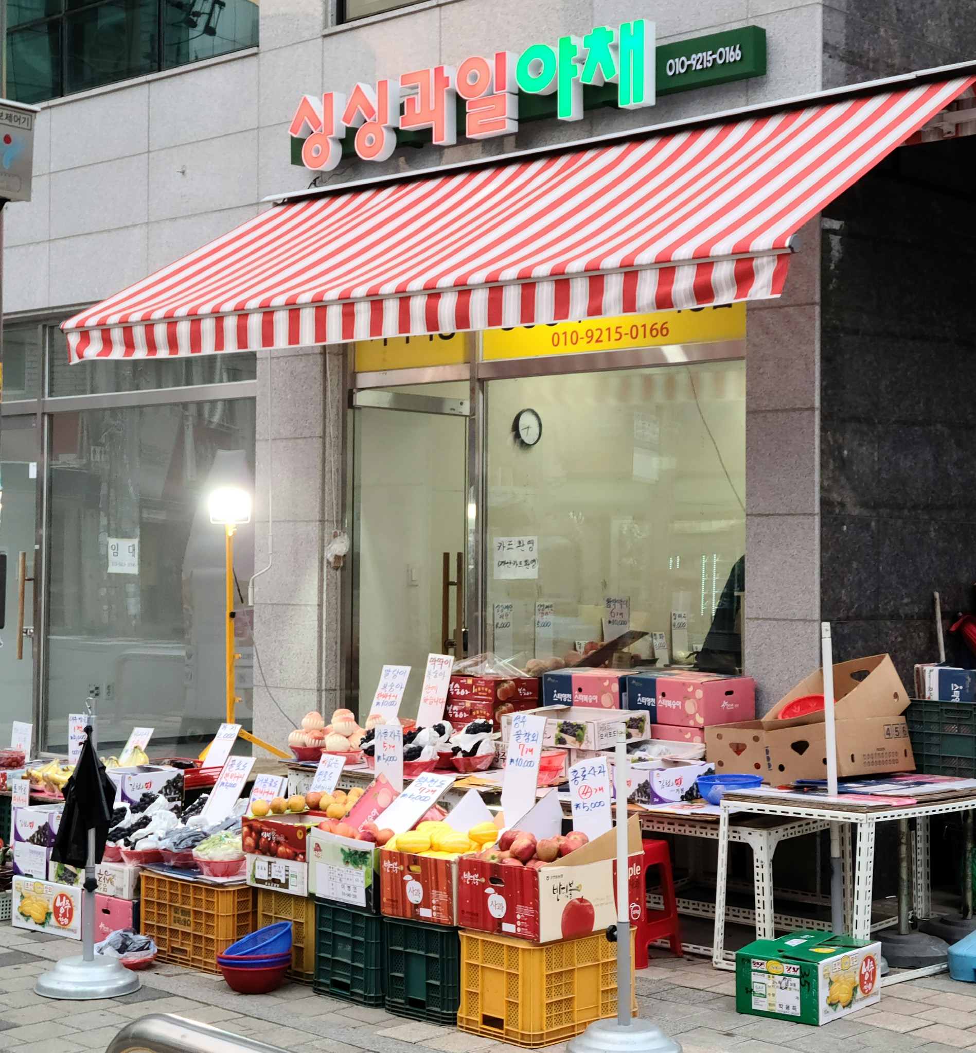 싱싱과일야채