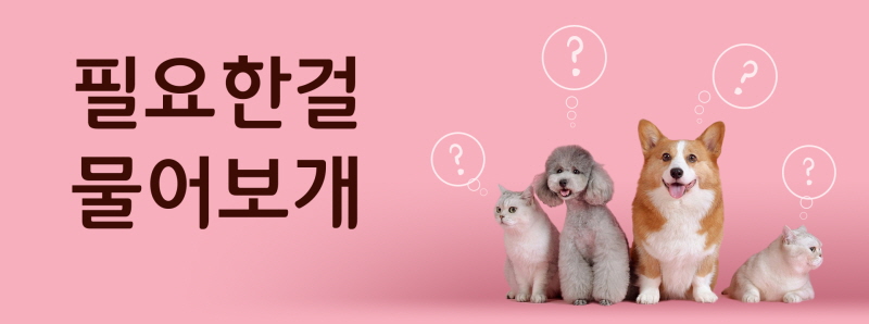 안녕펫 대표 이미지