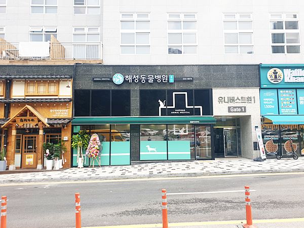 용인 해성동물병원 내부 또는 관련 모습