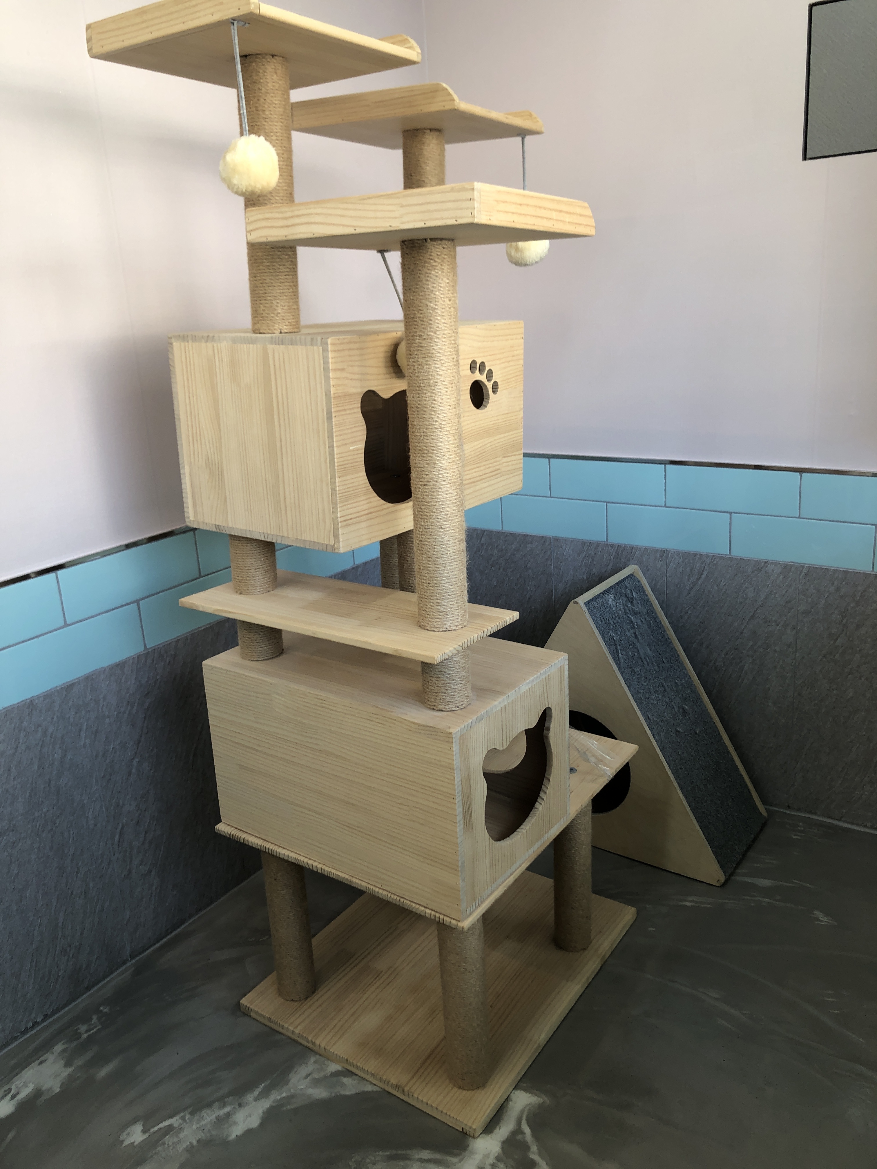 펫파민트 대표 이미지