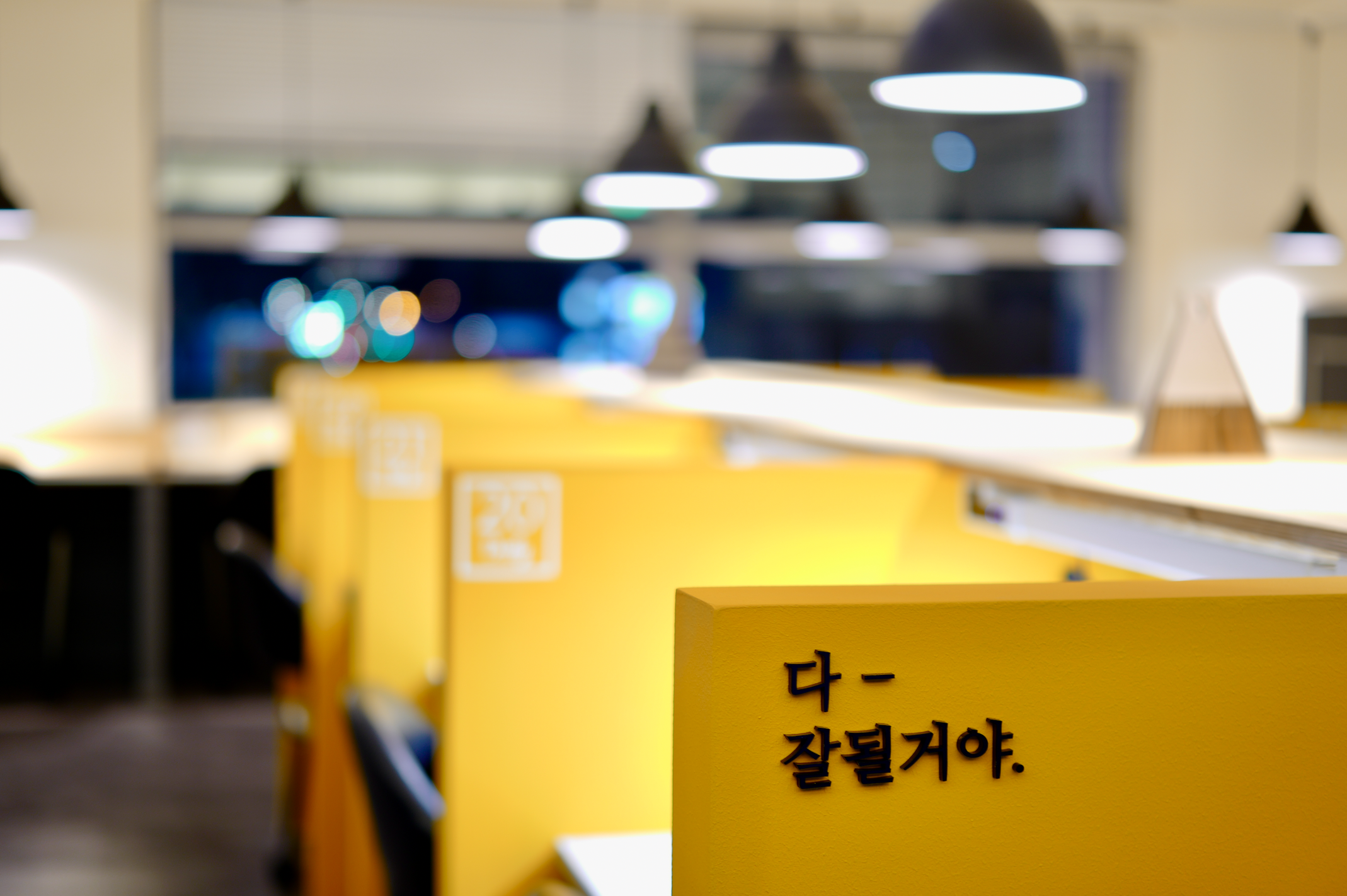 업체사진