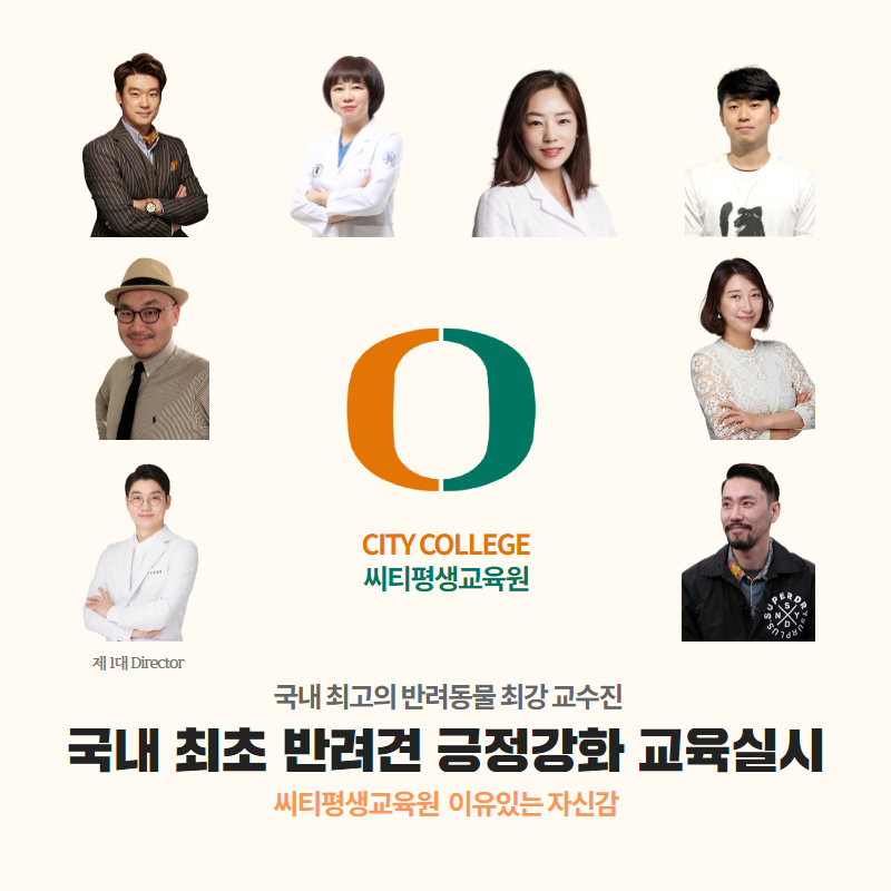 씨티평생교육원