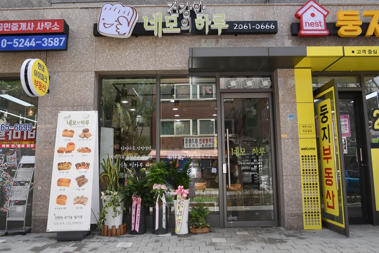 건강한네모의하루