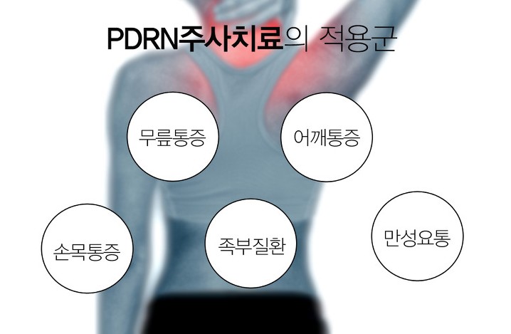 김앤박의원