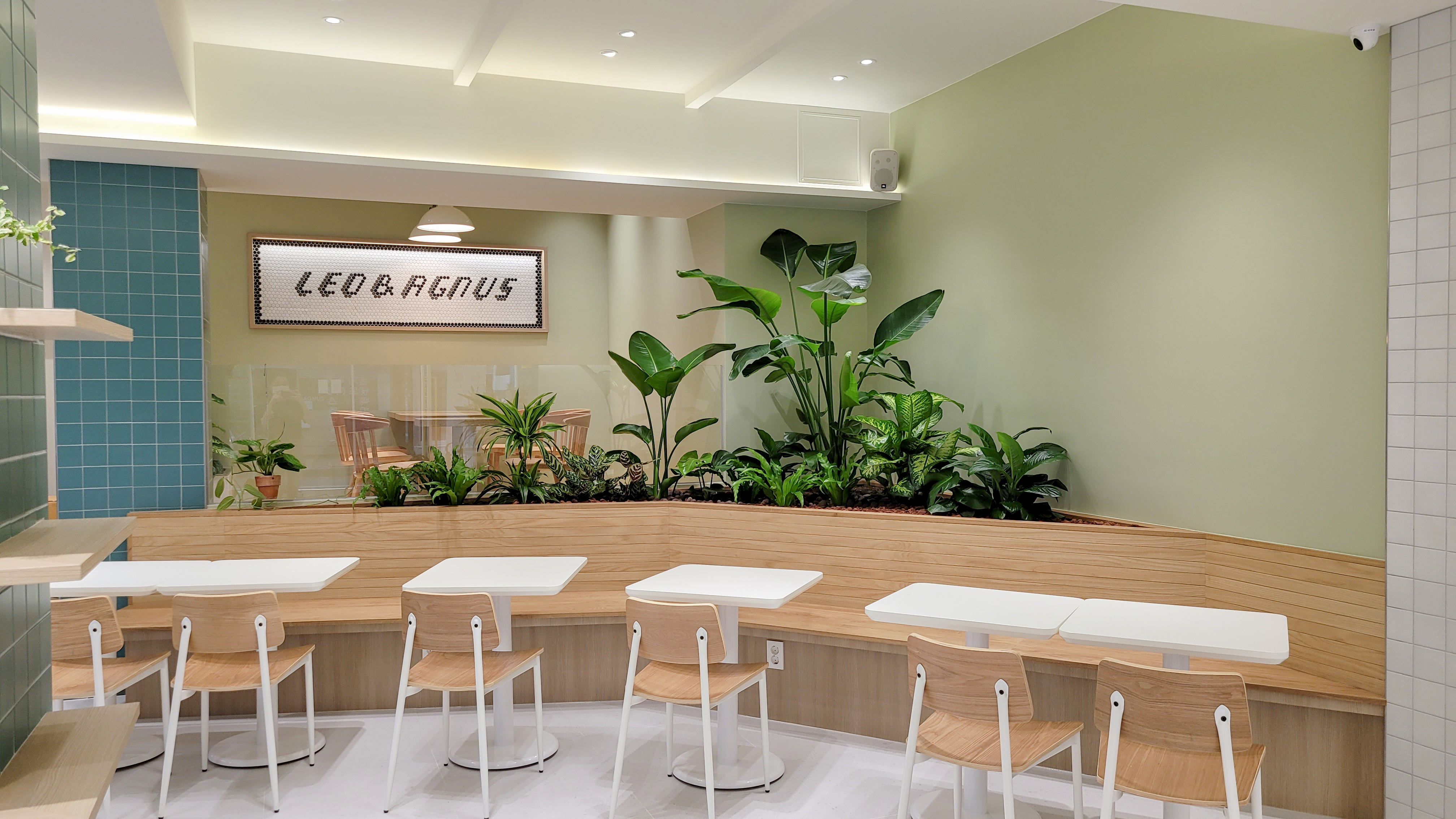 레오앤아그너스