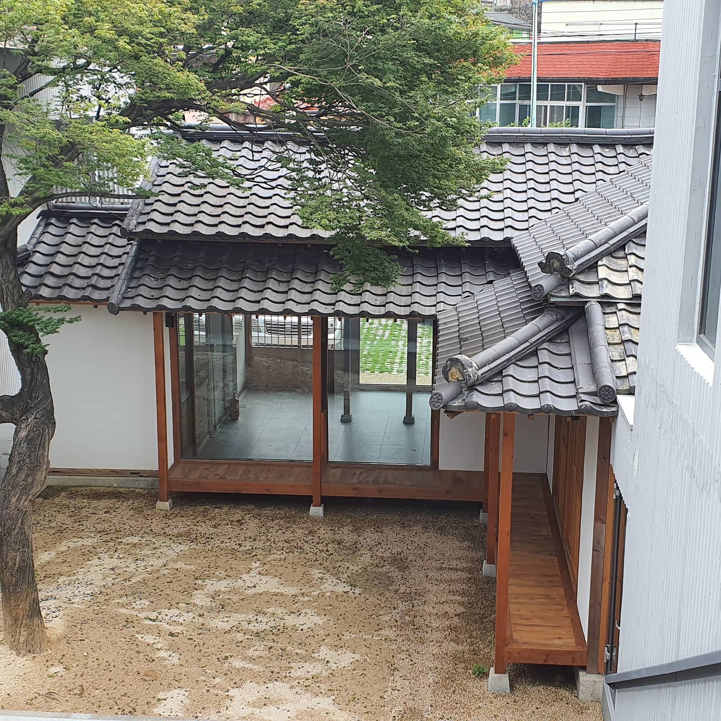 카페자산 경상 애견맛집