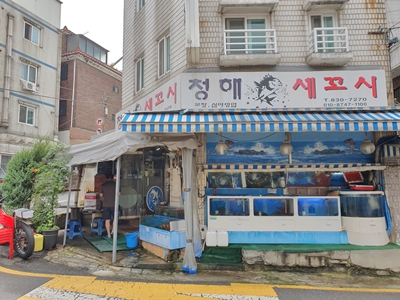 청해세꼬시