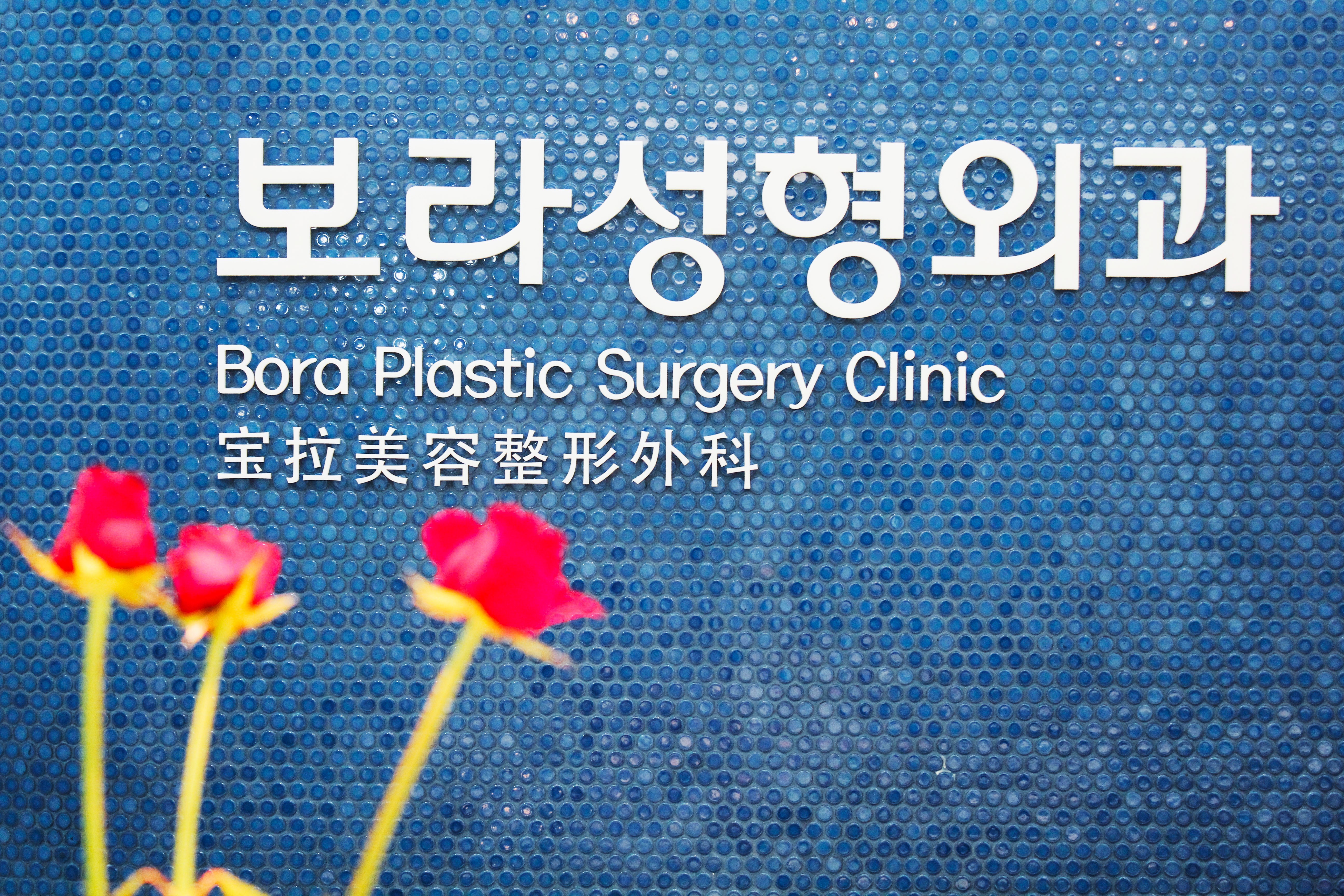 보라성형외과의원 대표 이미지