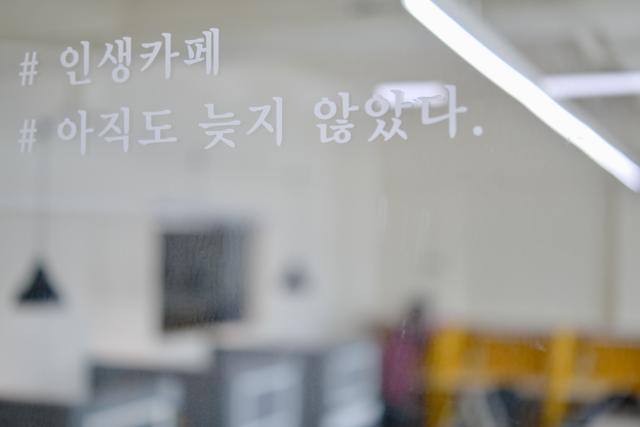 업체사진