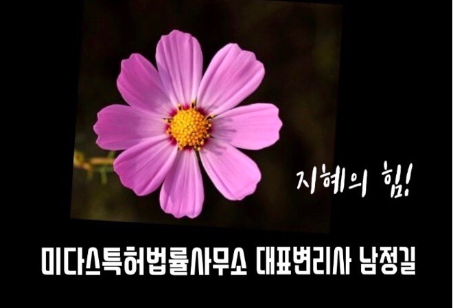 미다스행정사사무소
