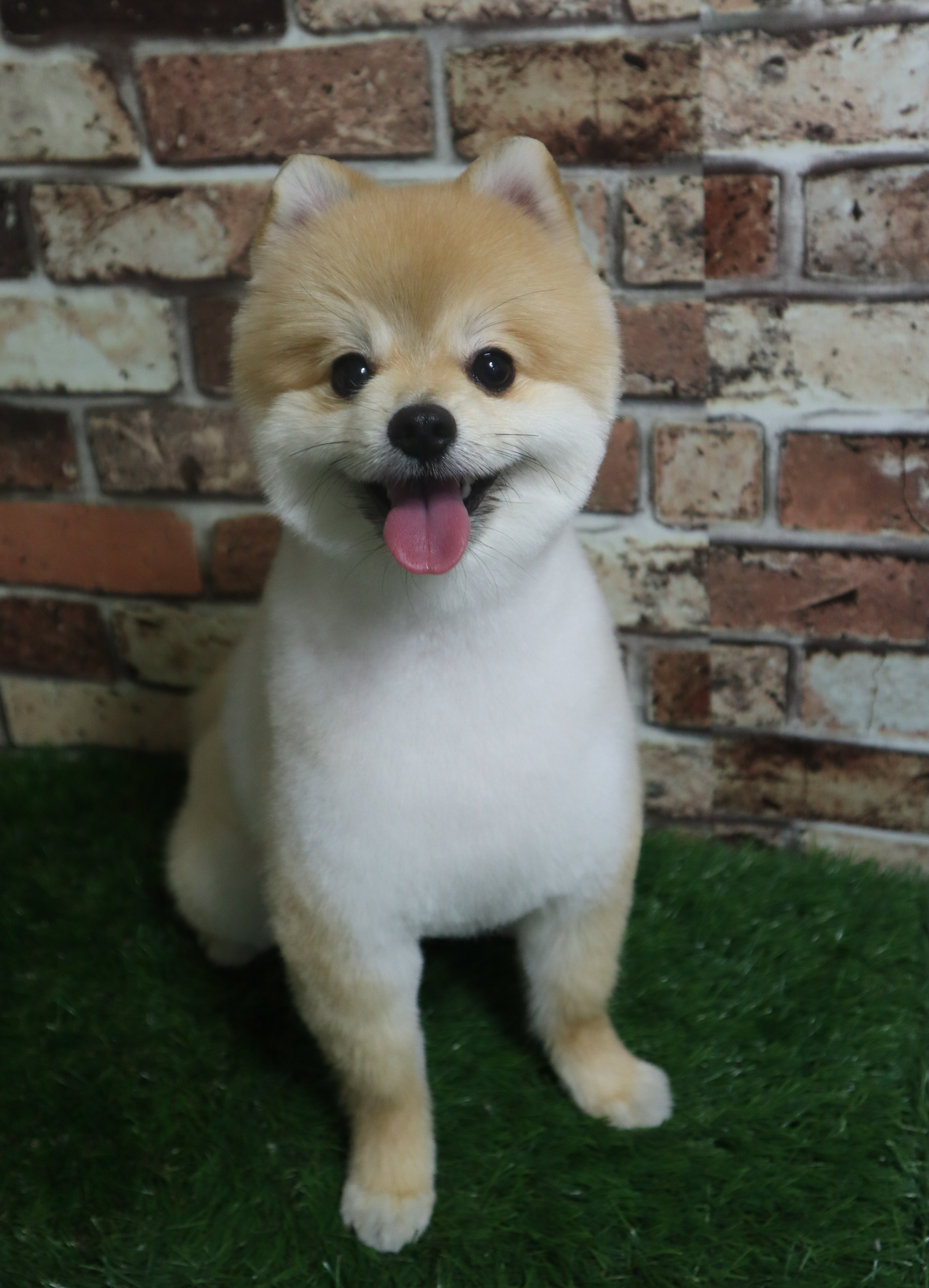 이미지