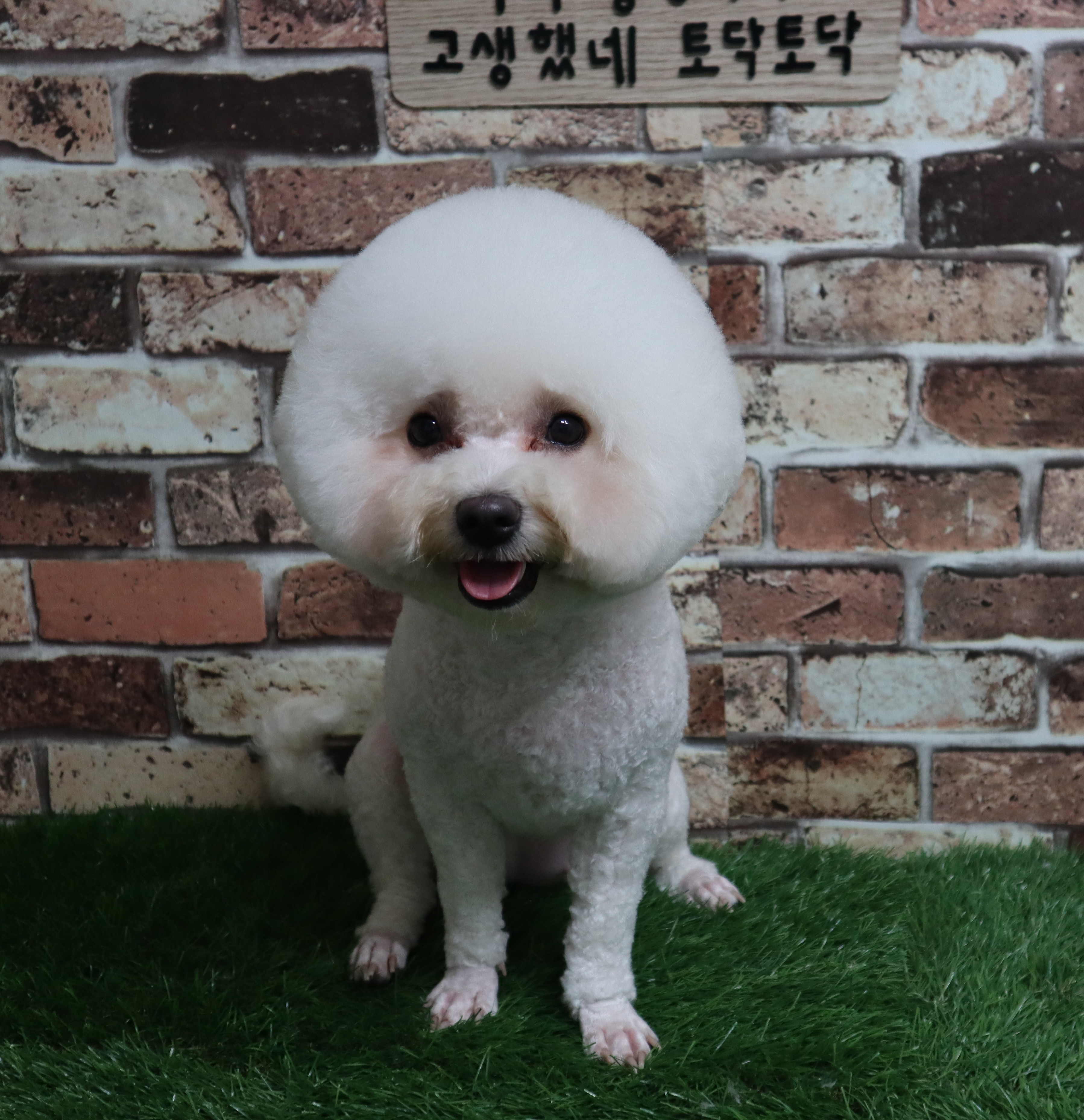 이미지