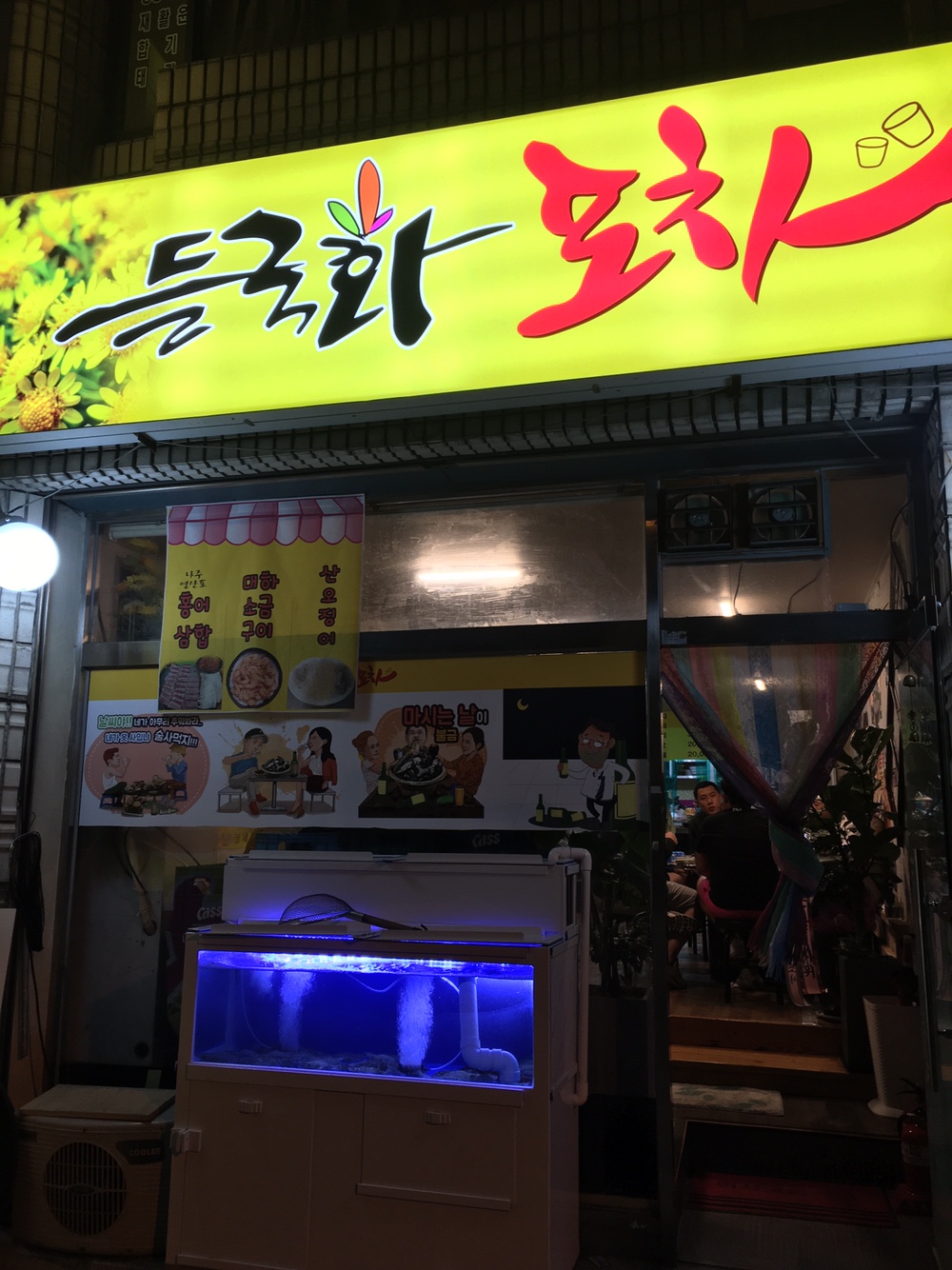 들국화포차