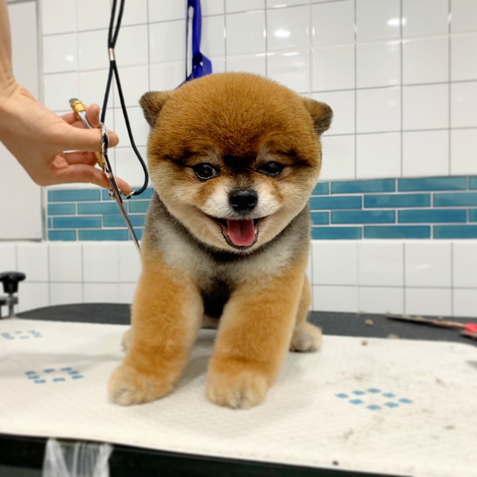 이미지