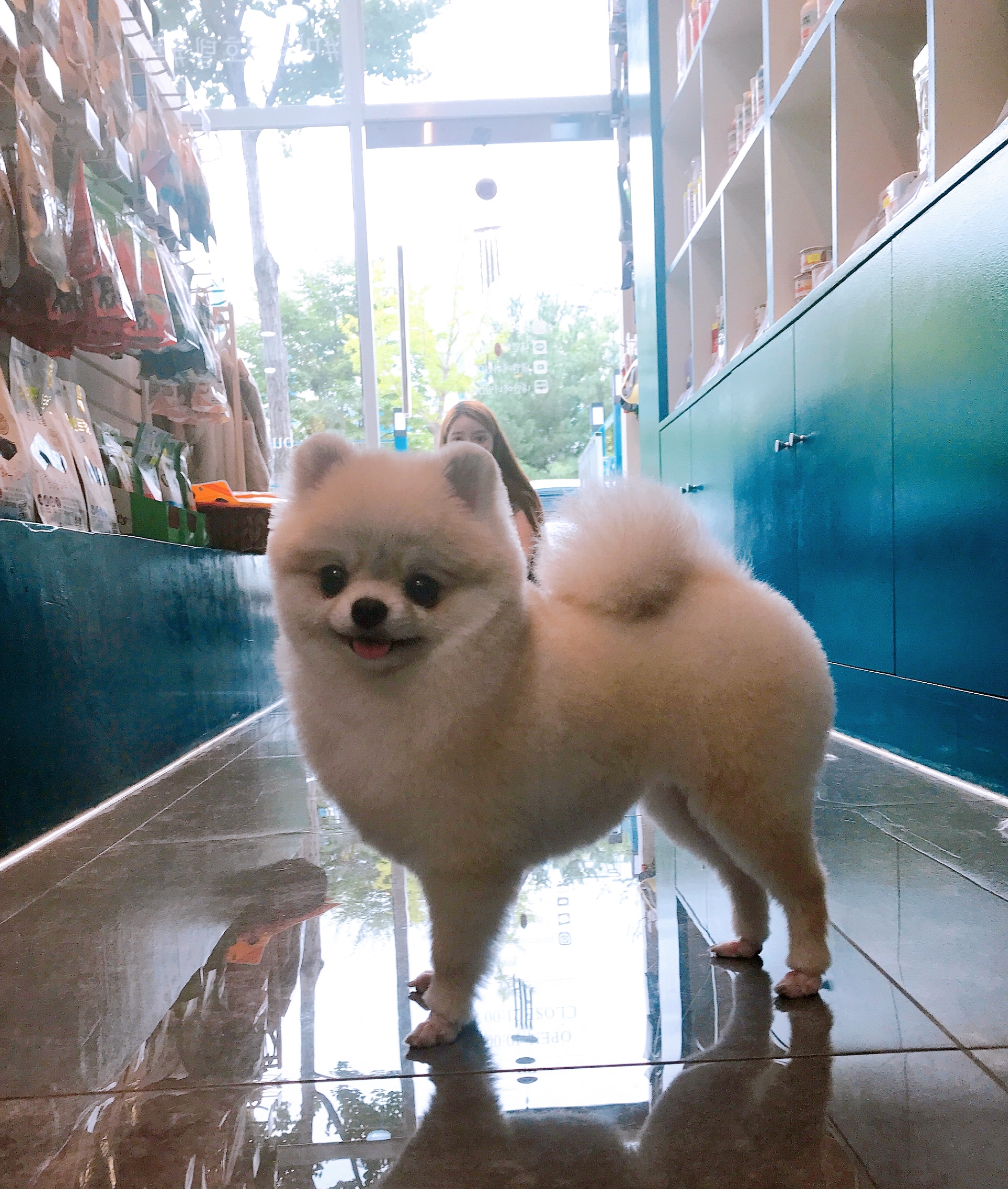 이미지