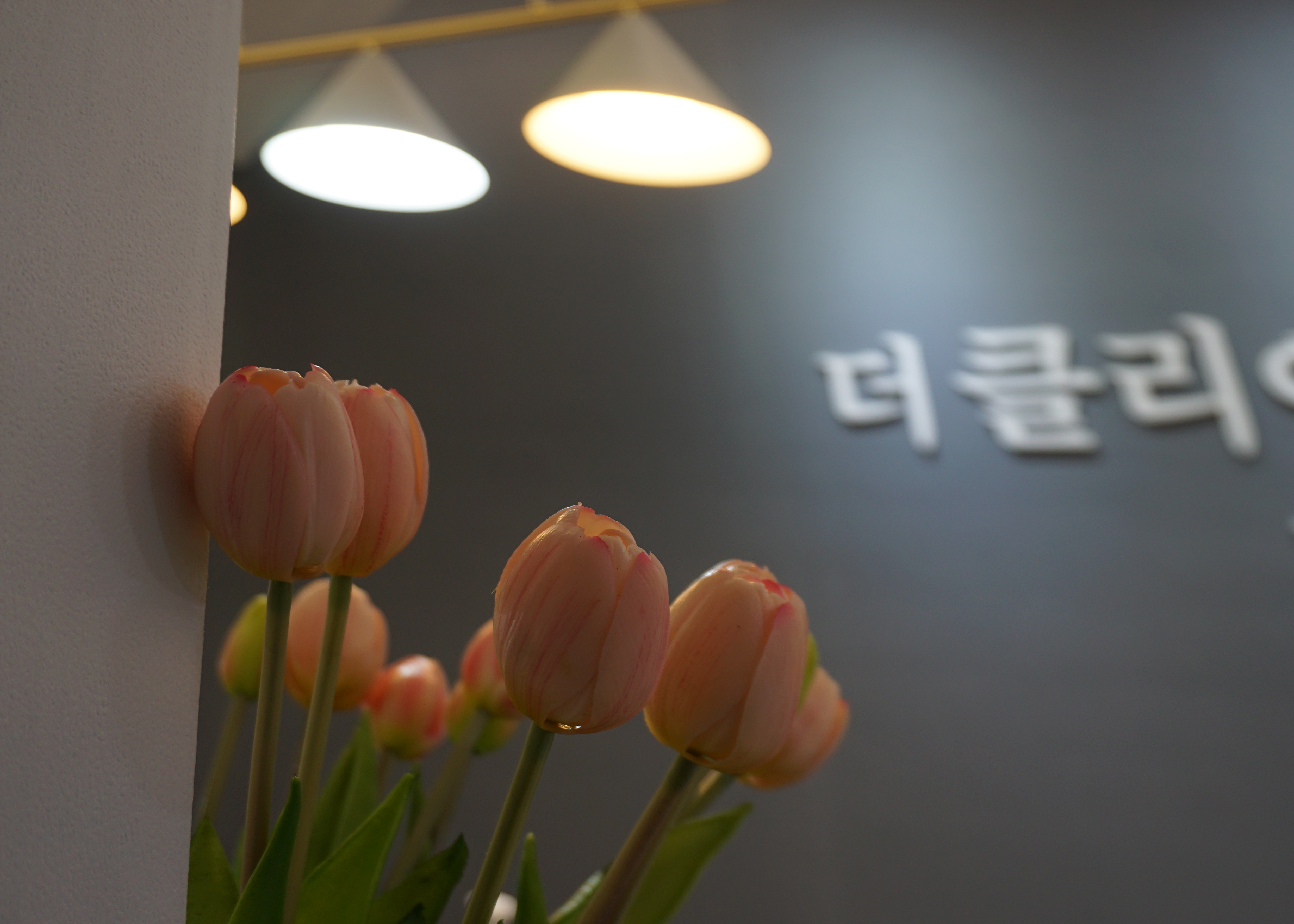 더클리어의원 대표 이미지