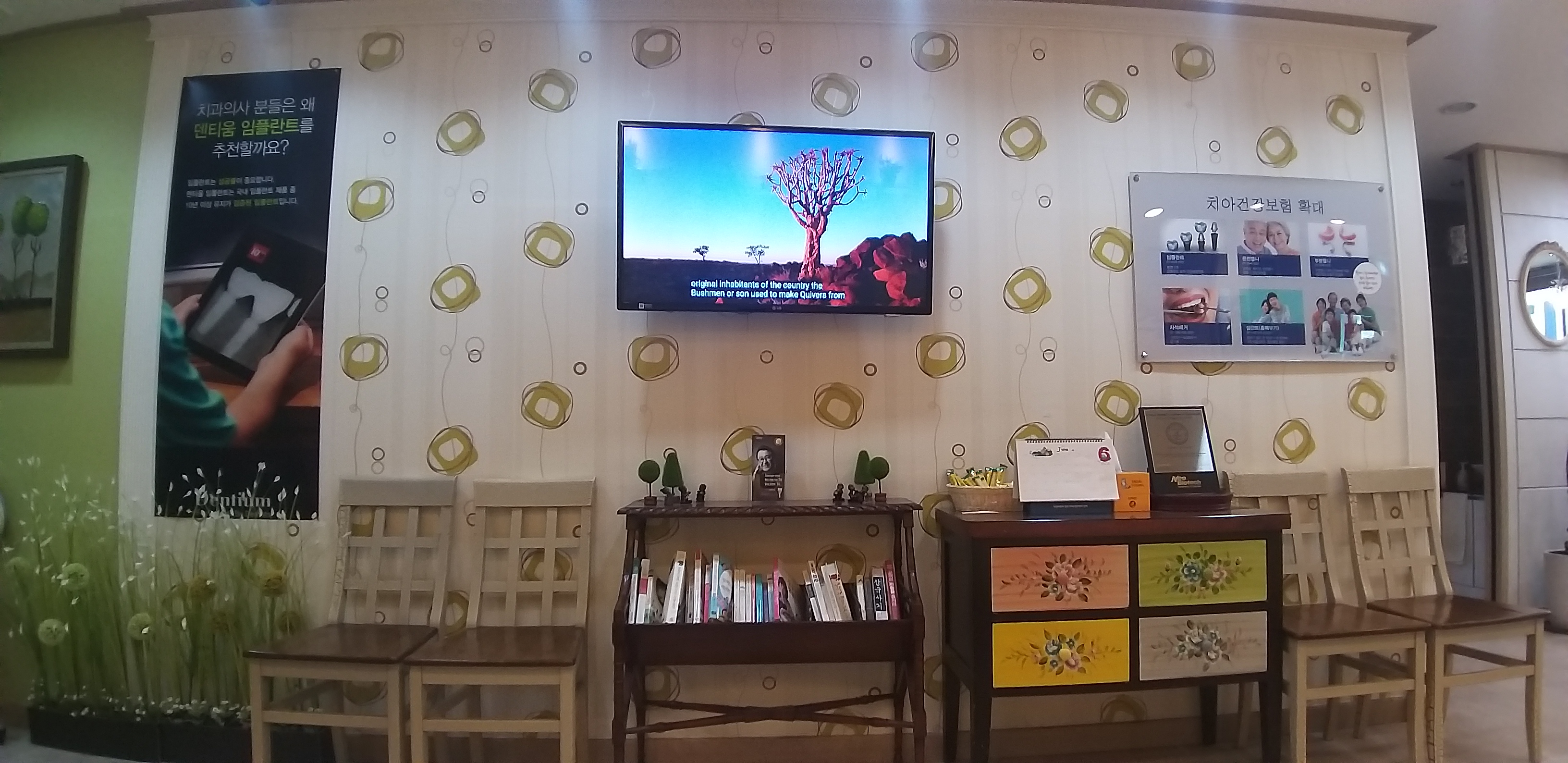 정직한치과의원 대표 이미지