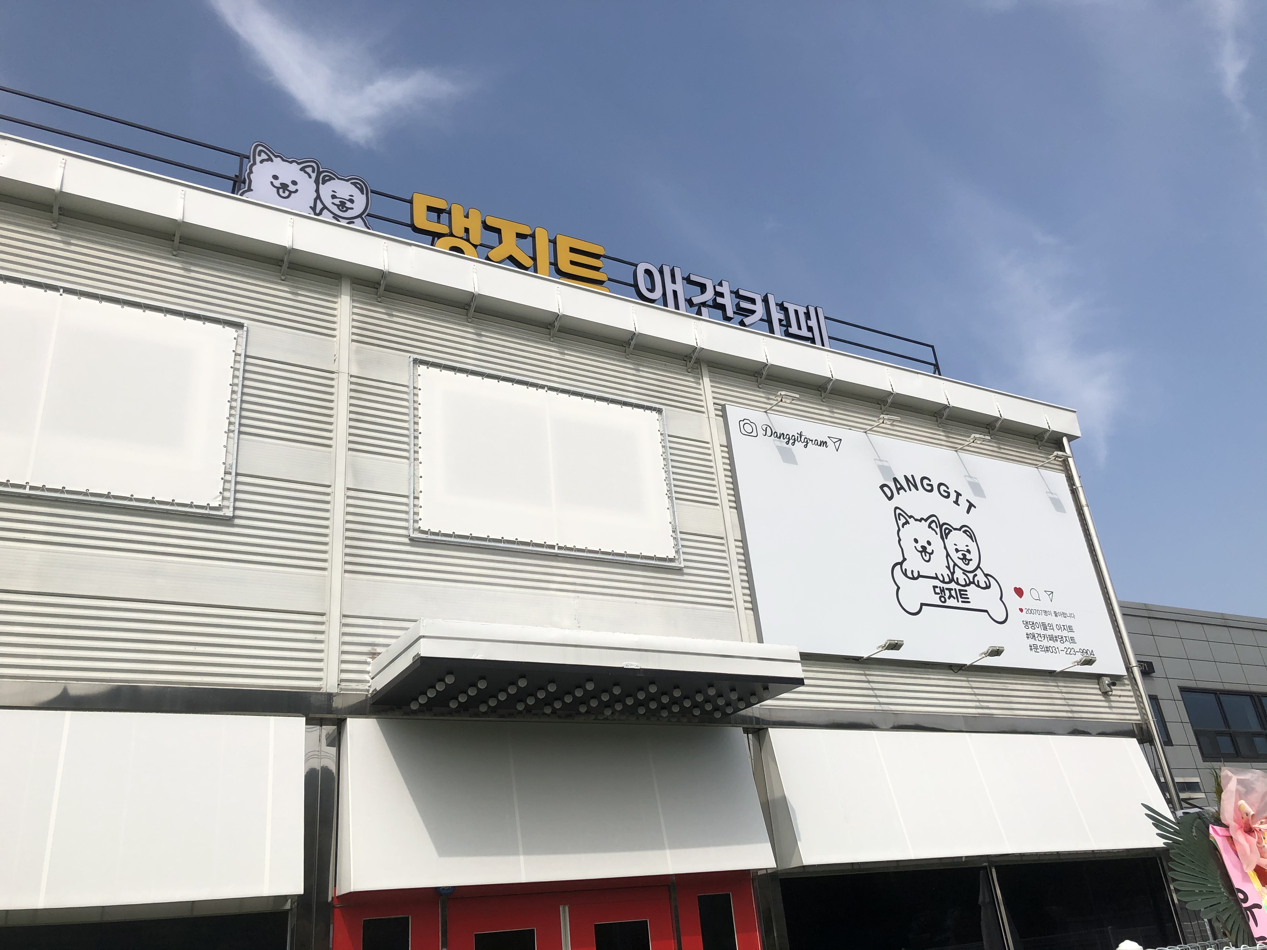 댕지트