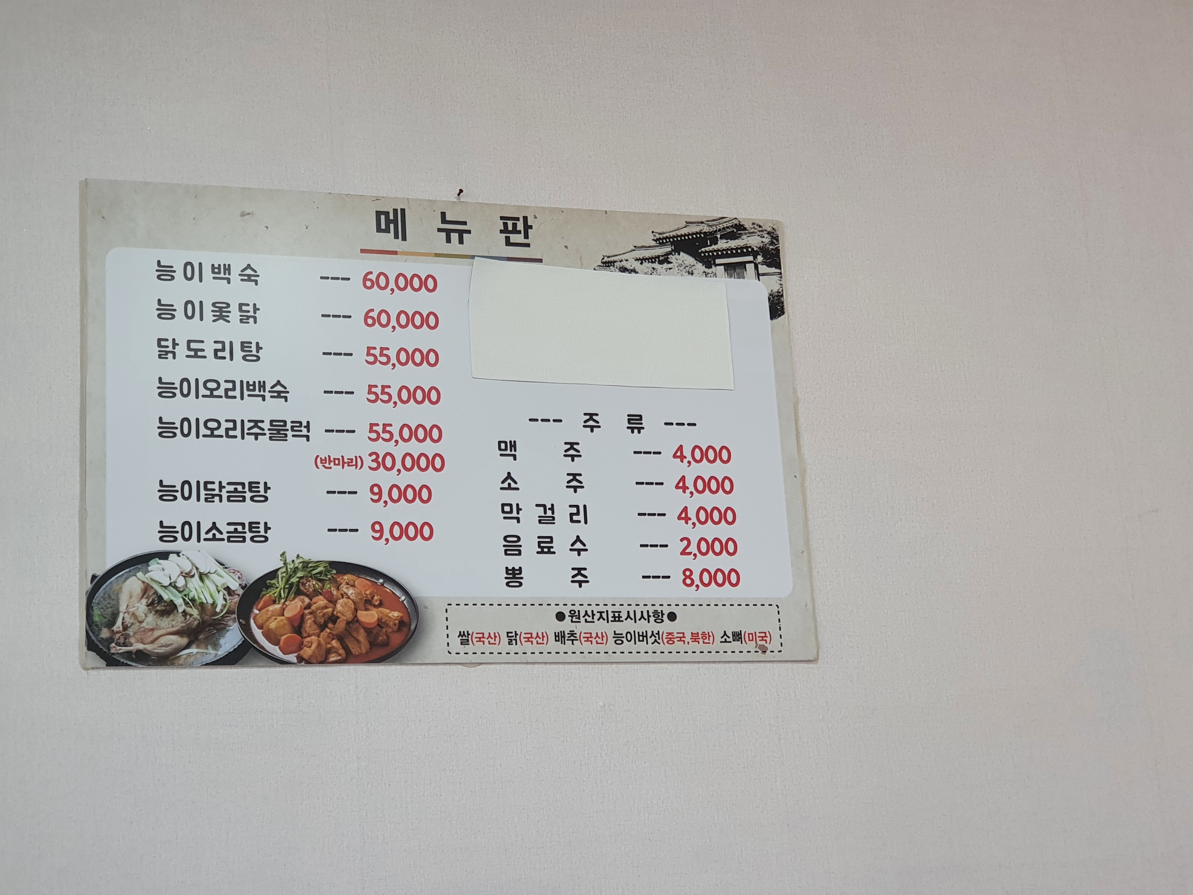 팽나무집