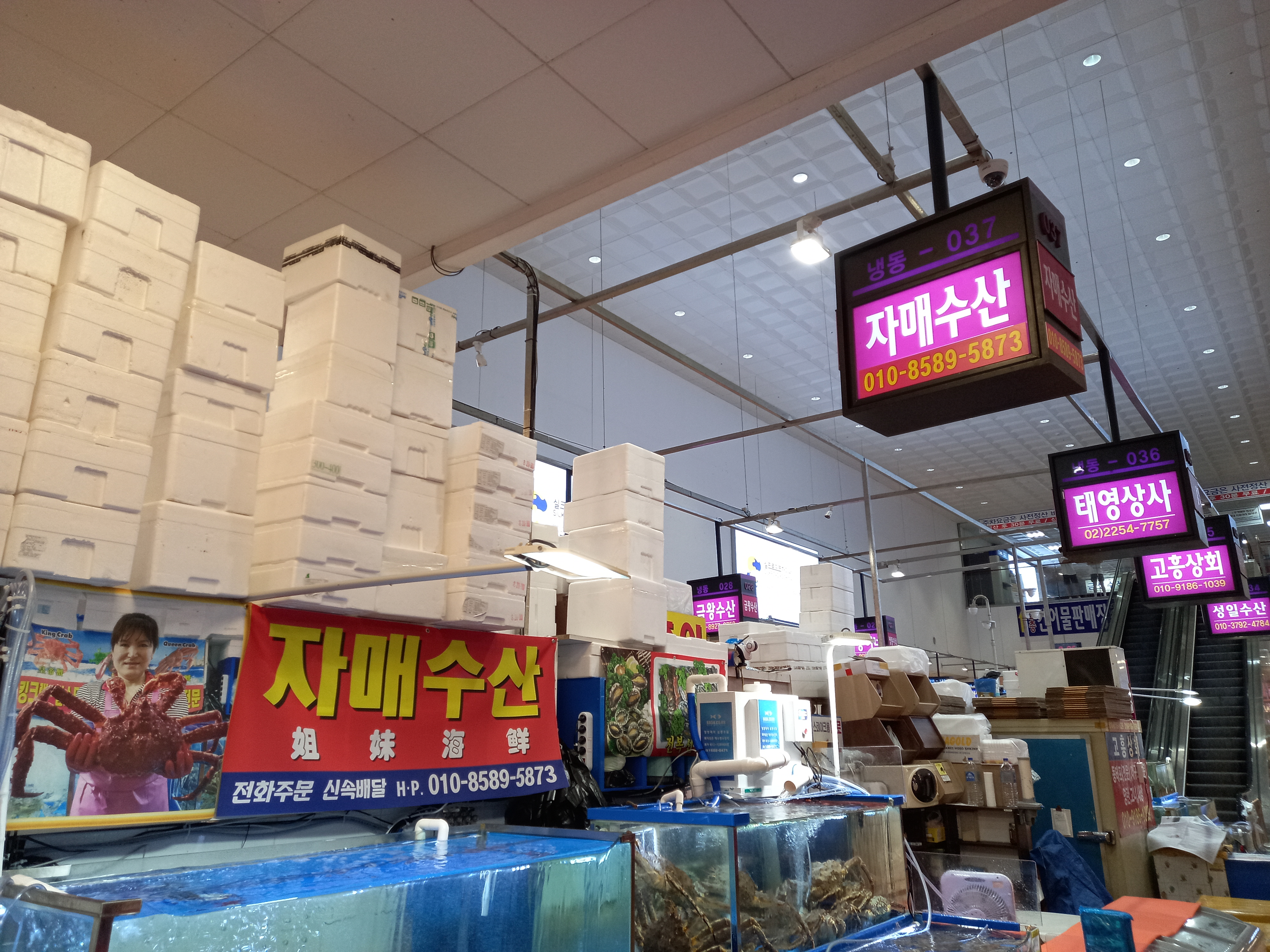 자매수산