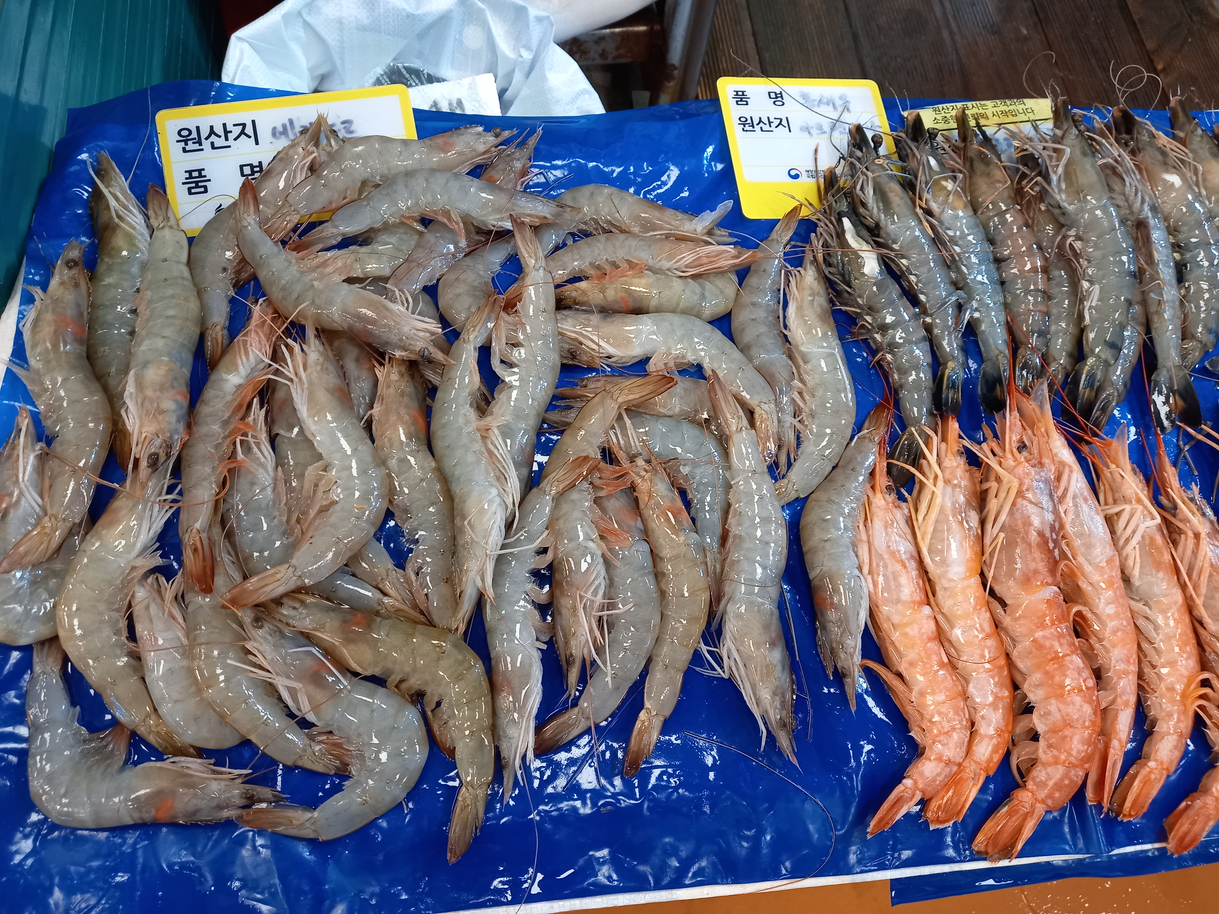 자매수산