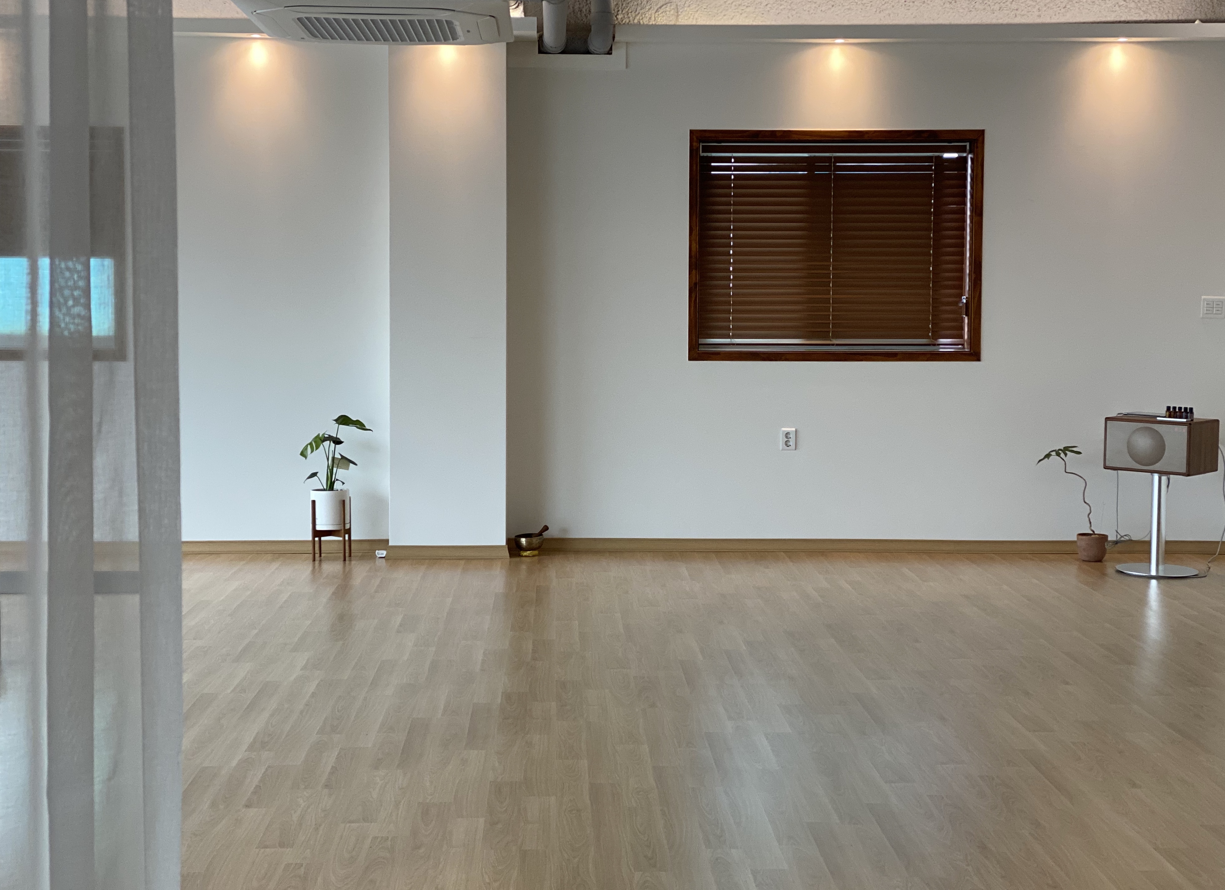 요가 림 대표 이미지