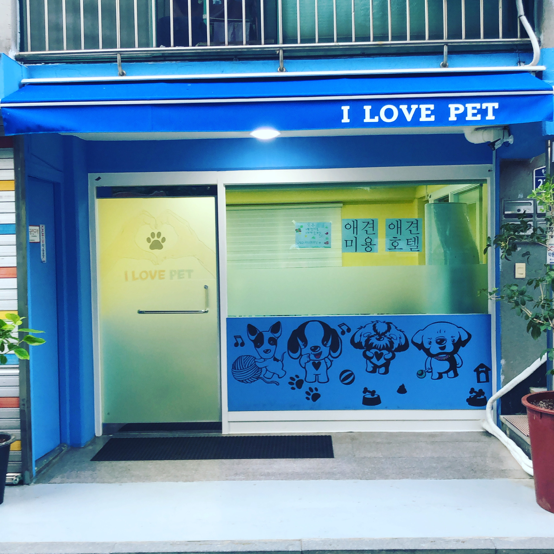 아이 러브 펫 대표 이미지