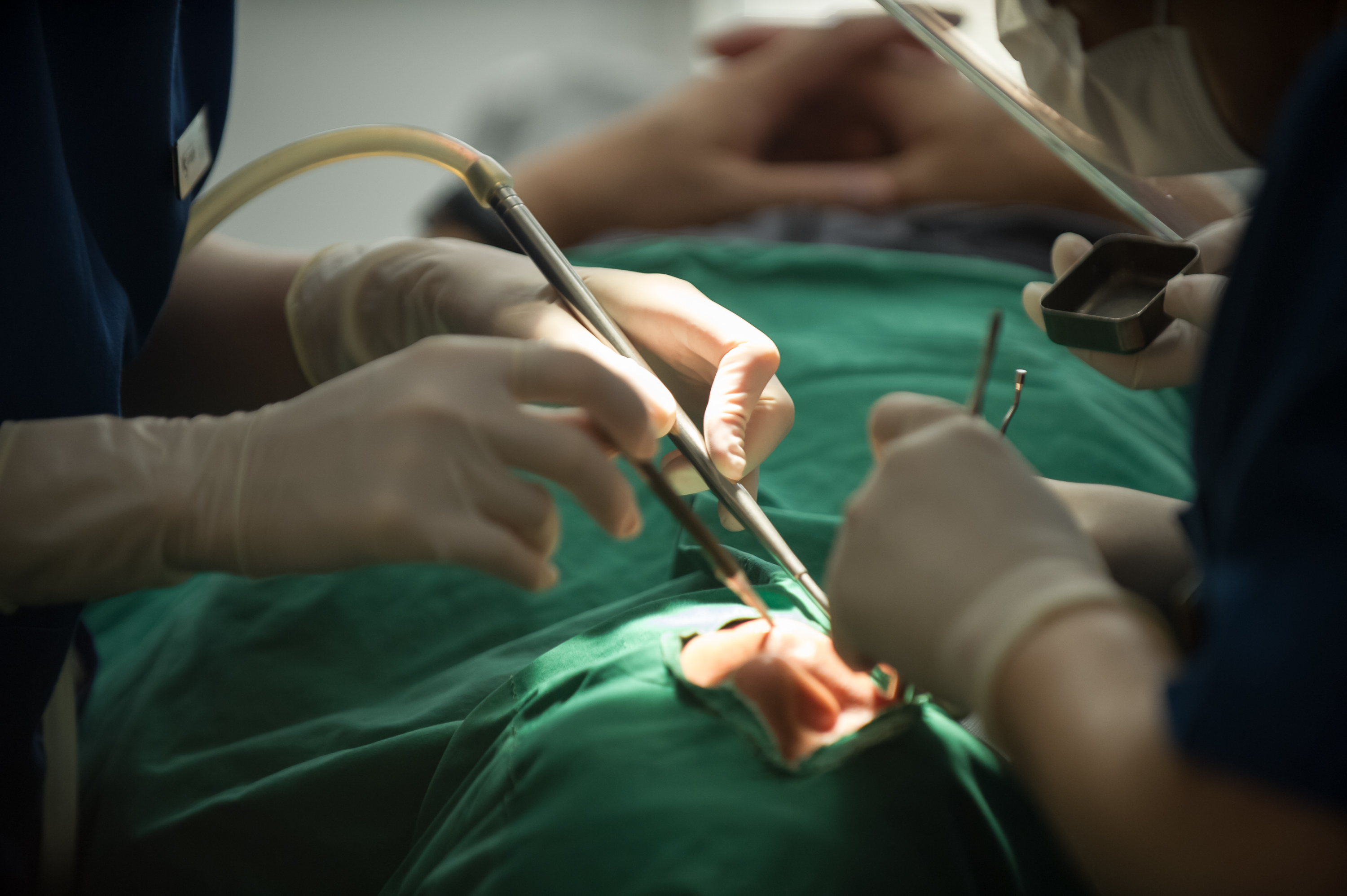 더블유에스치과병원 대표 이미지