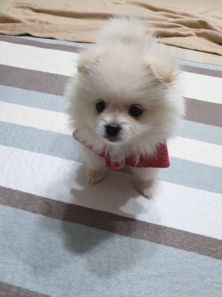 유정헤어샵