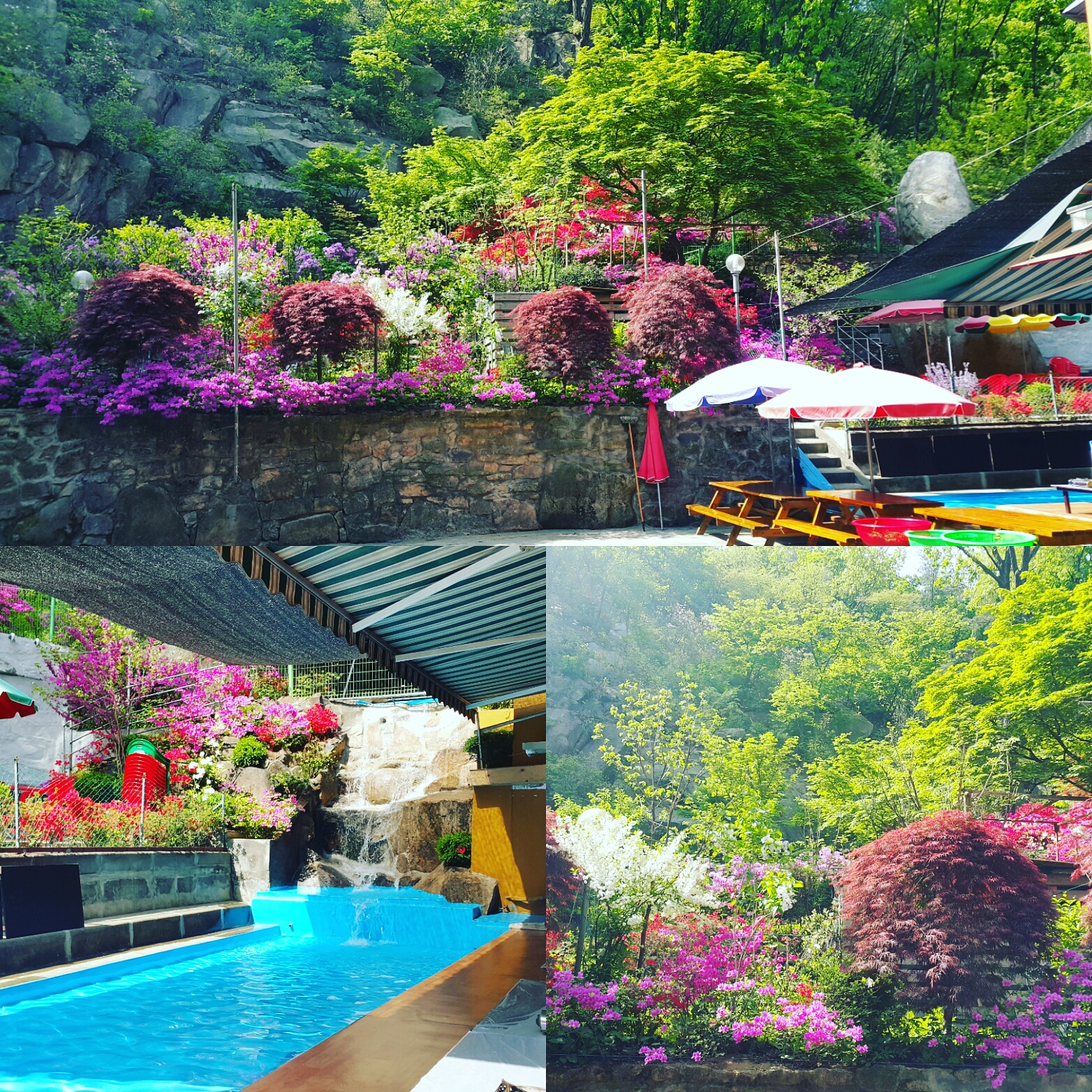 금수강산