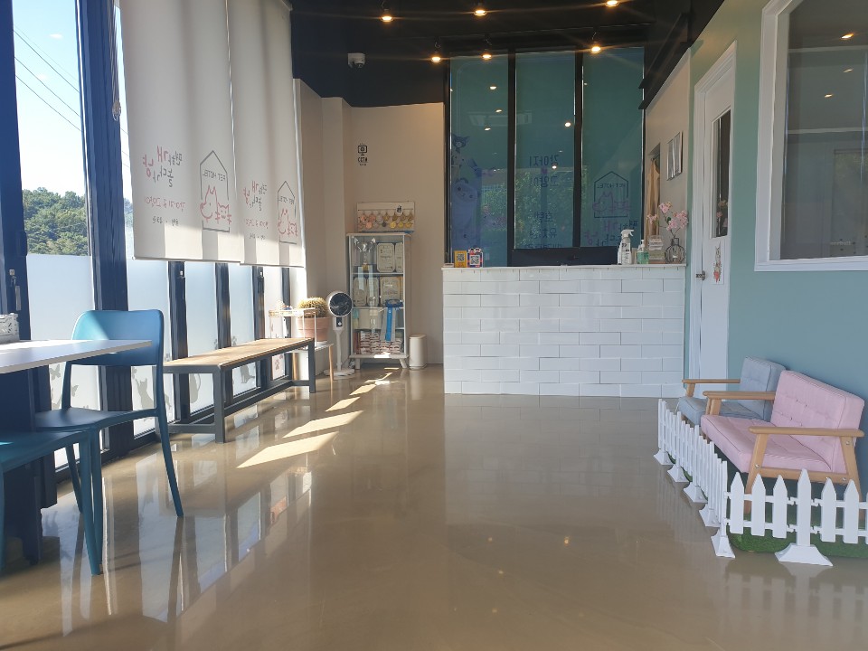 편하개놀다가냥 대표 이미지