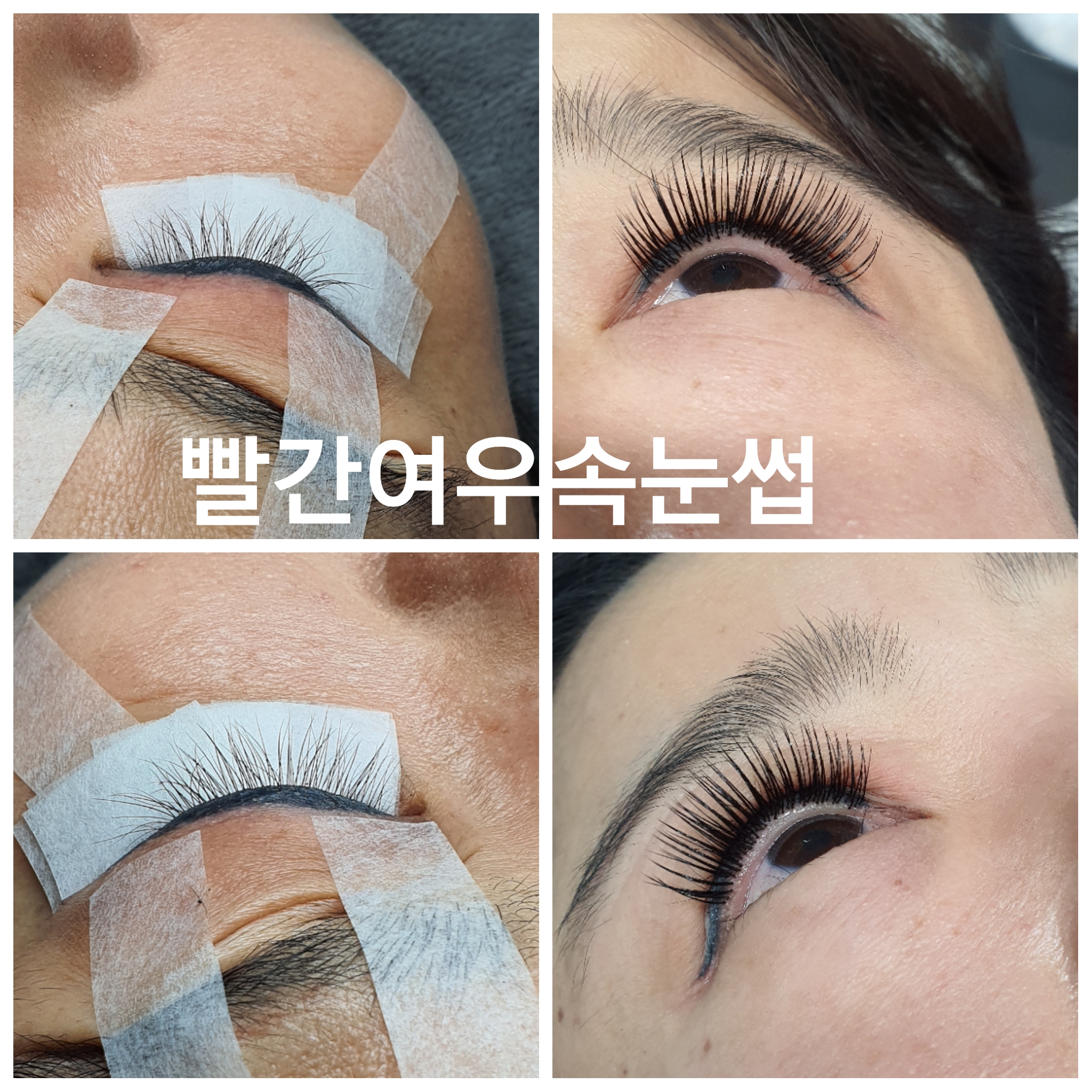 빨간여우속눈썹