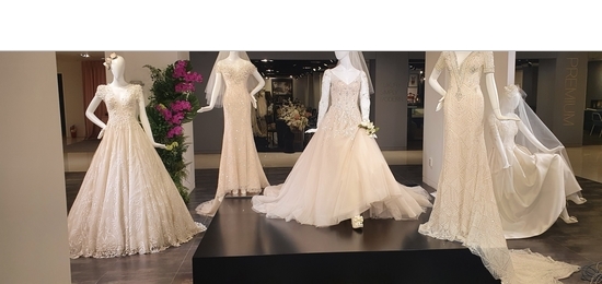 대구웨딩박람회 대표 이미지