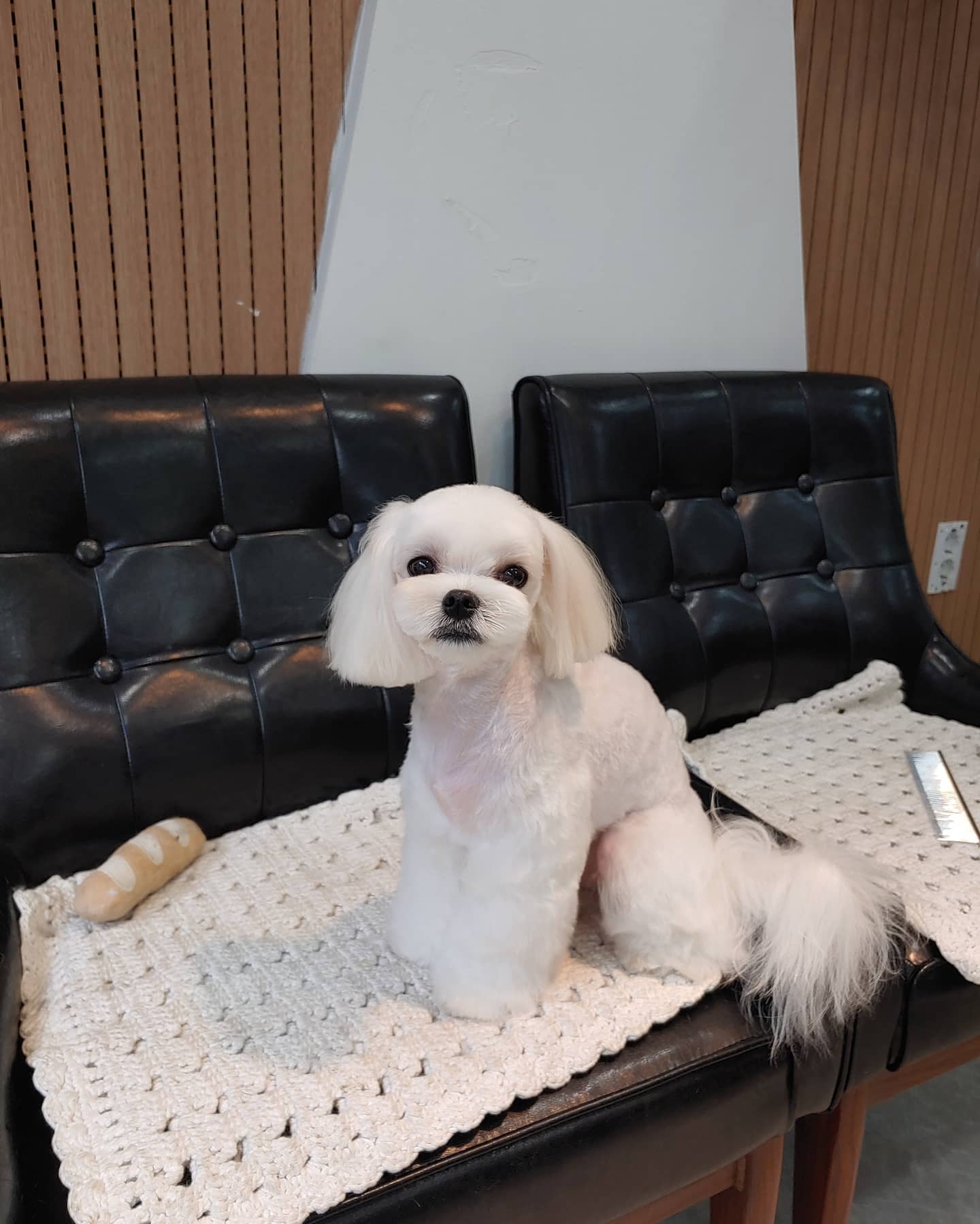 쓰담쓰담 대표 이미지