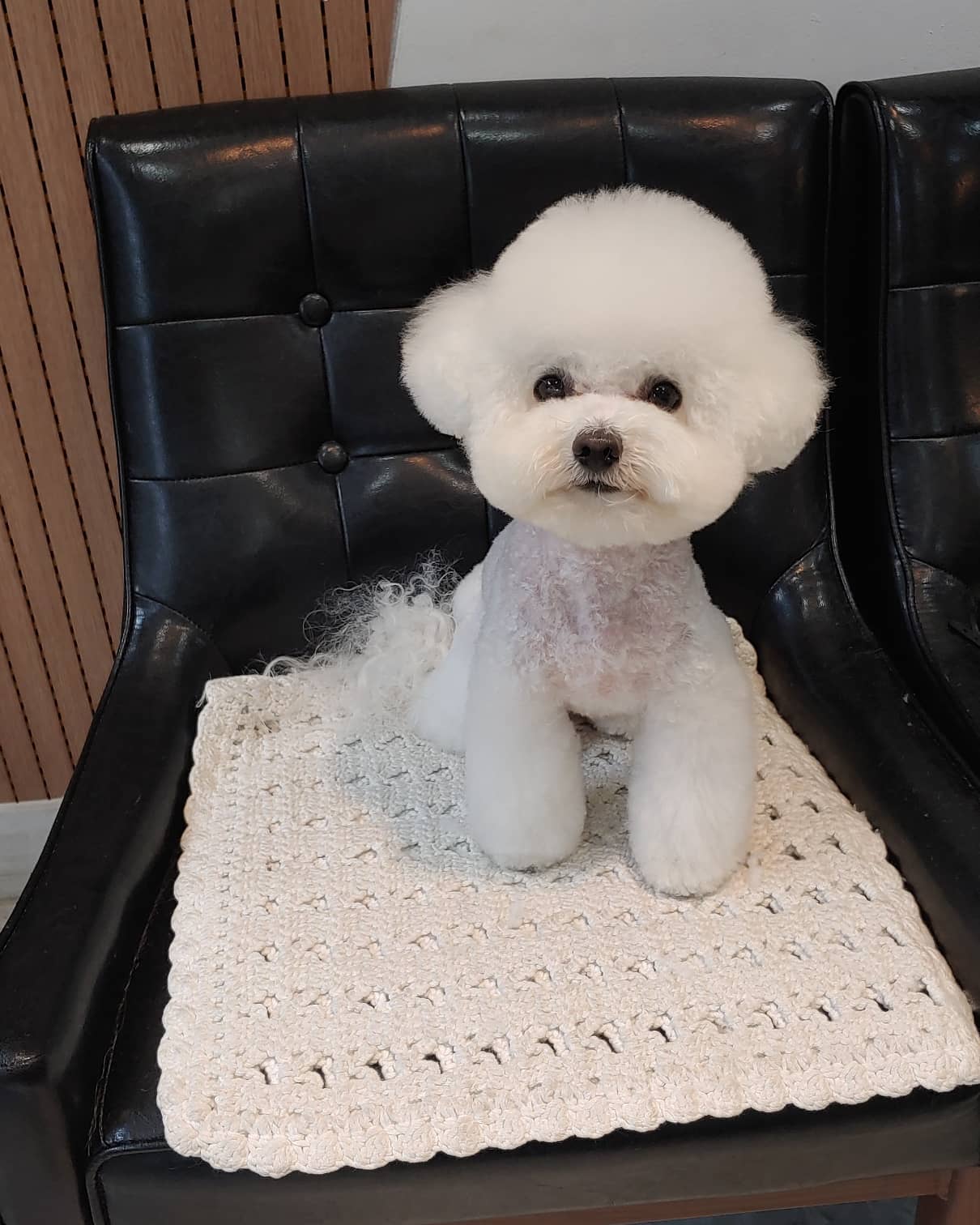 쓰담쓰담 대표 이미지