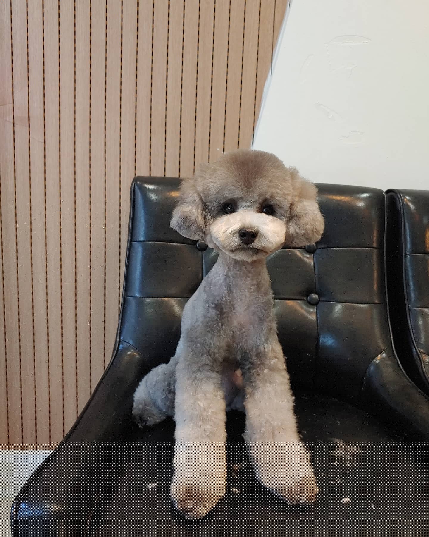 쓰담쓰담 대표 이미지
