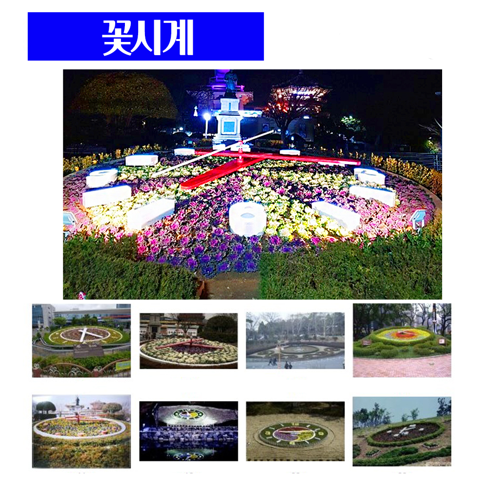 이일사