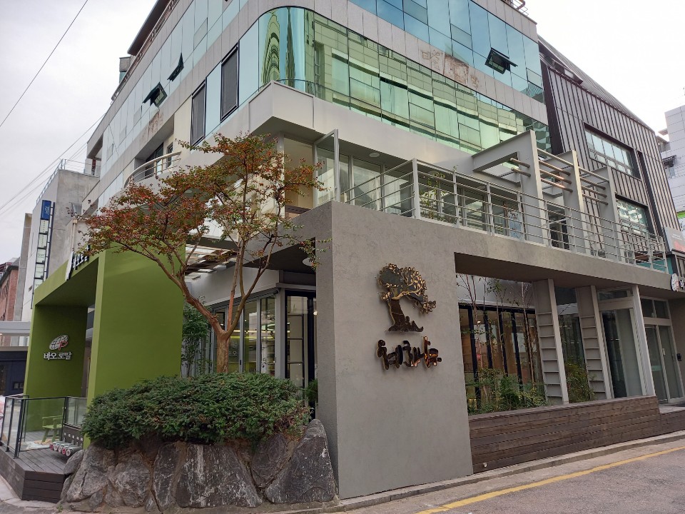 바오로딸 혜화나무