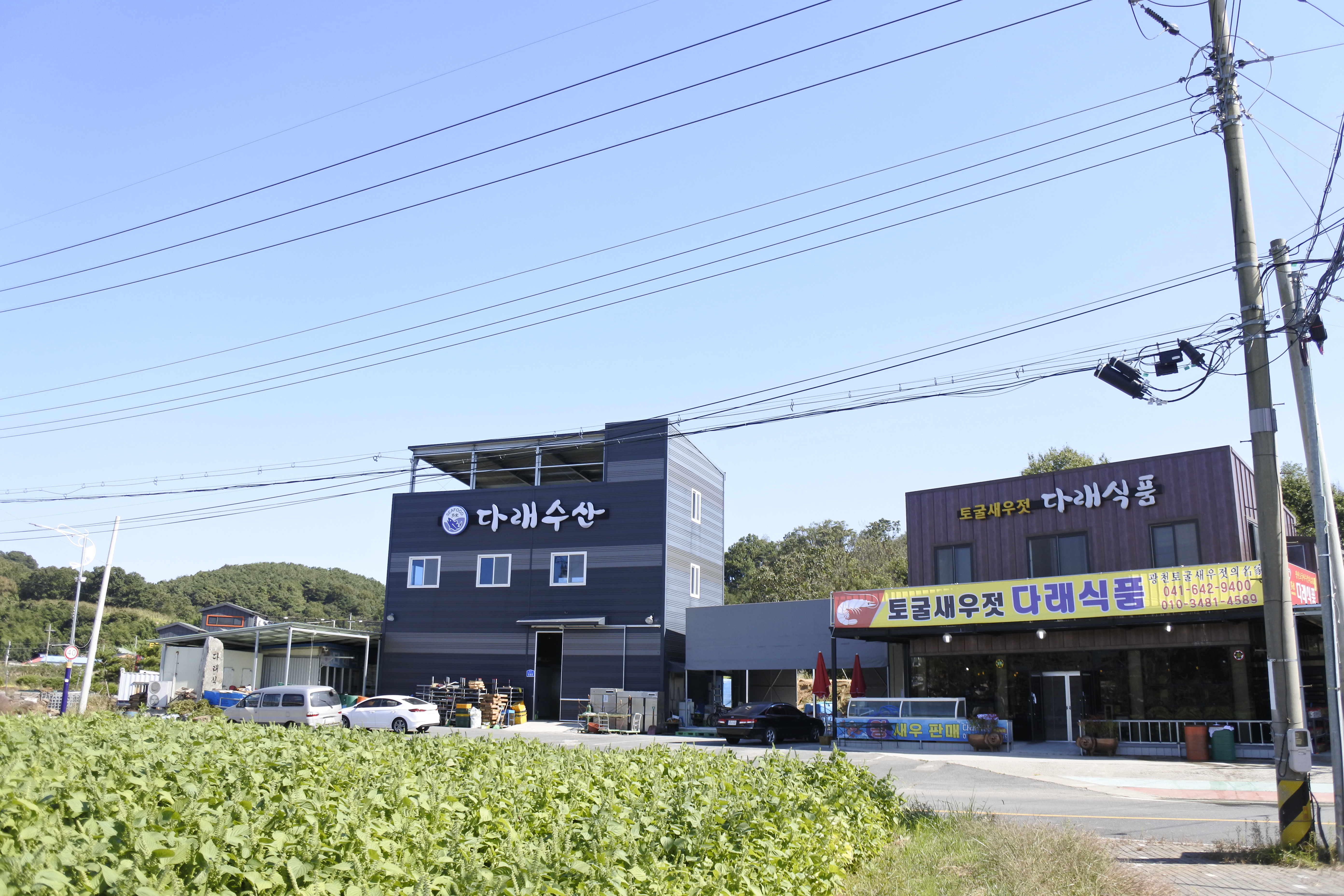 다래수산