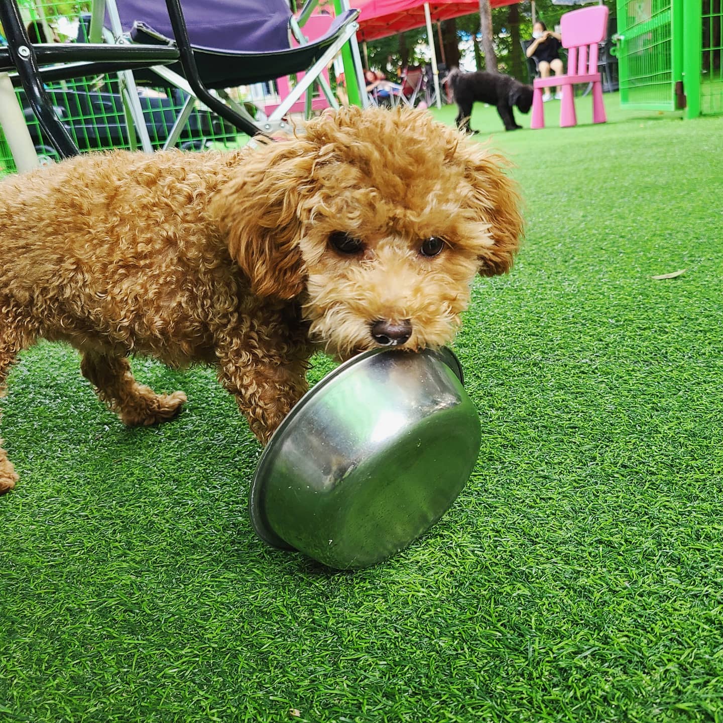 개떼놀이터 남양주 대표 이미지