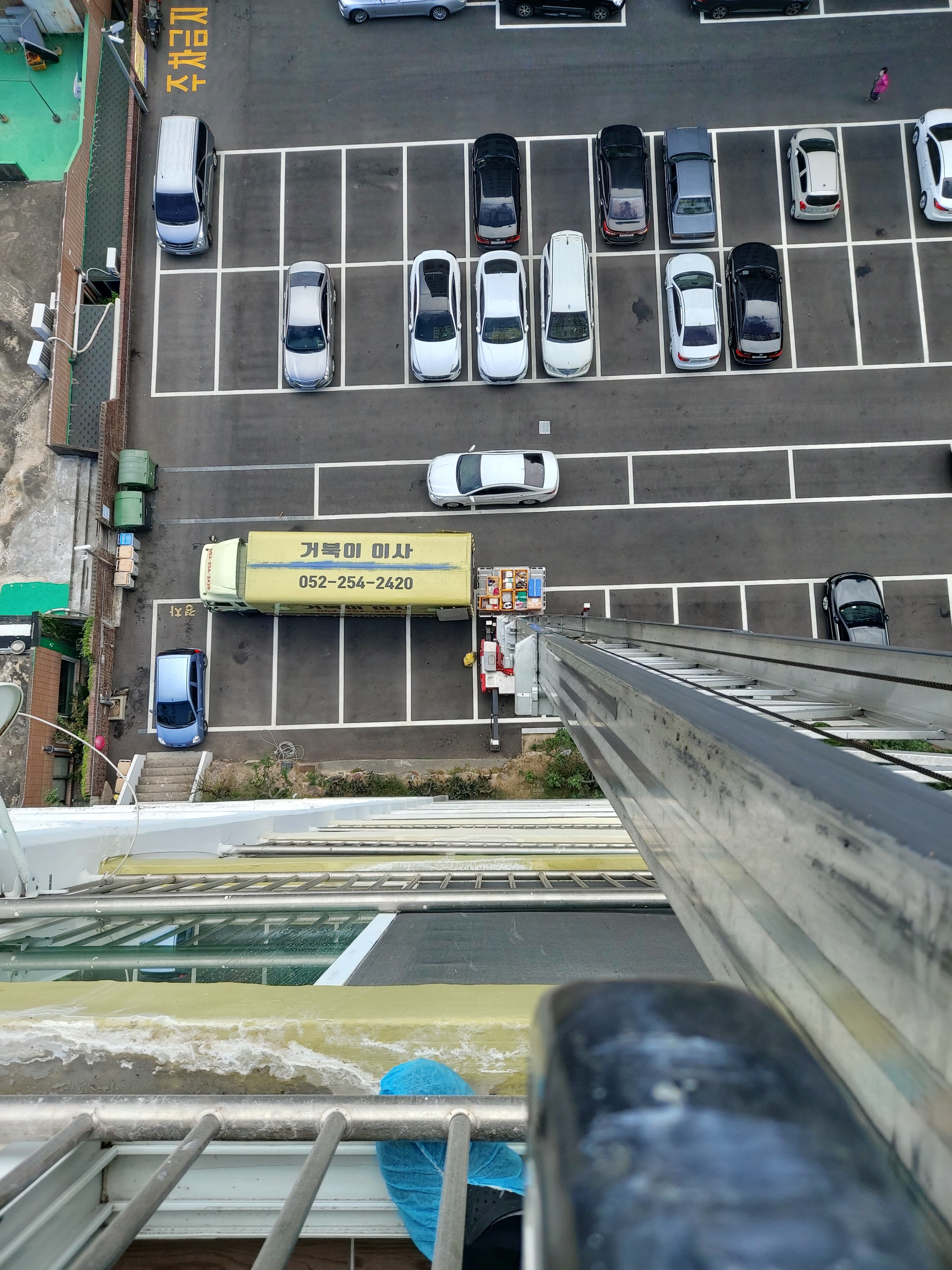 거북이이사 대표 이미지