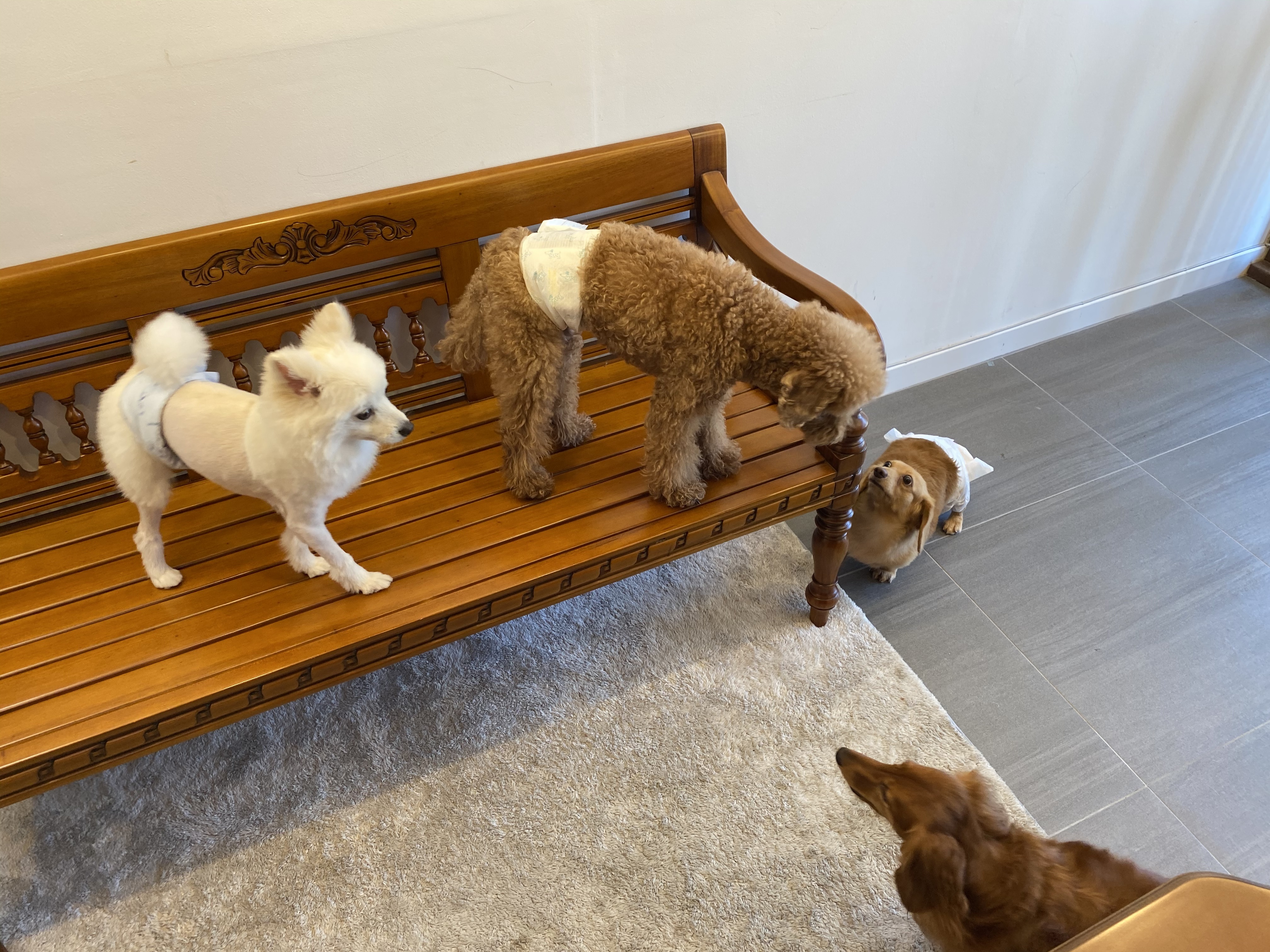 바둑이미장원 대표 이미지