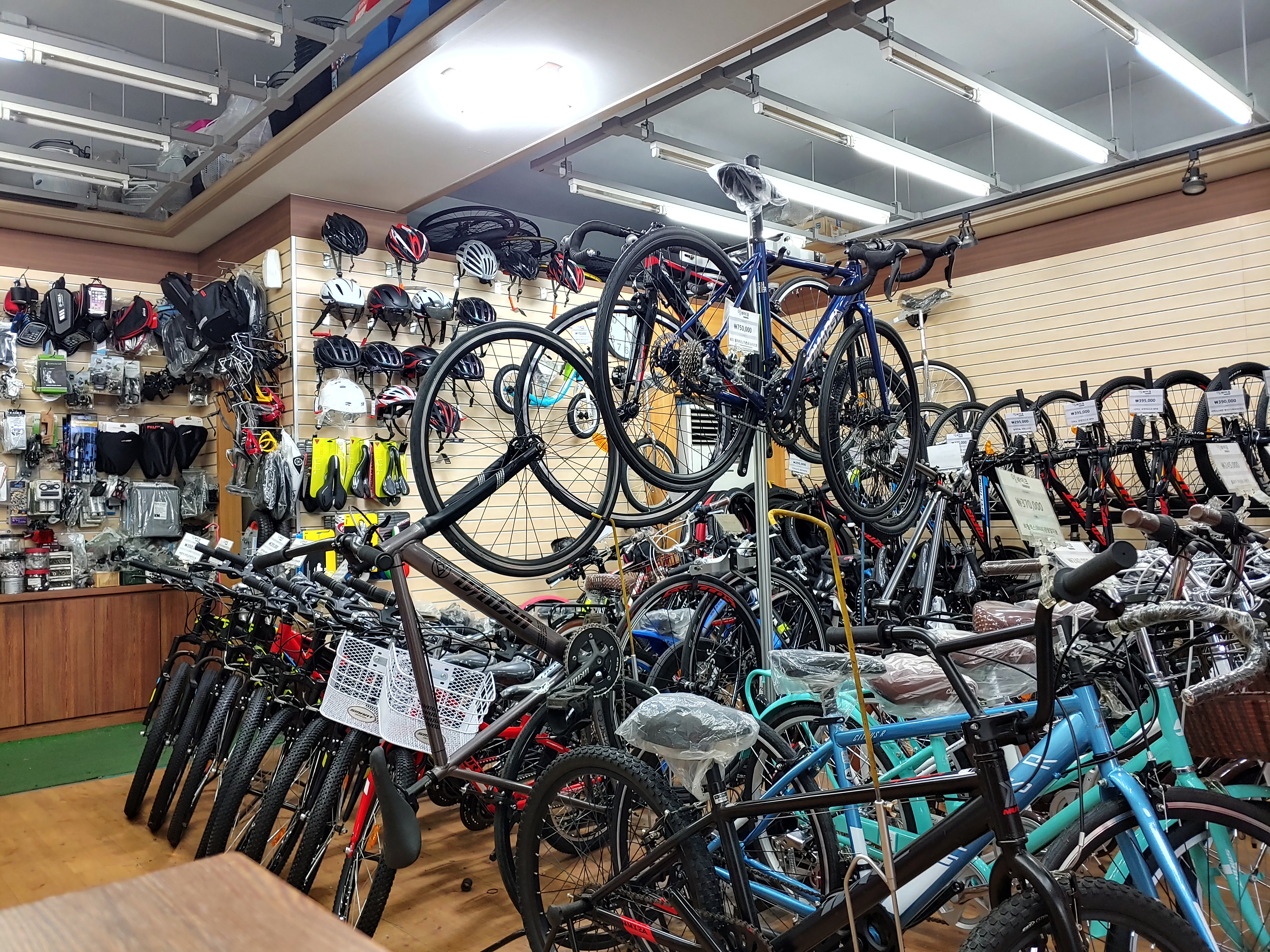 영바이크 대표 이미지