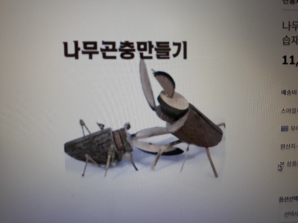 꿈애곤충농원