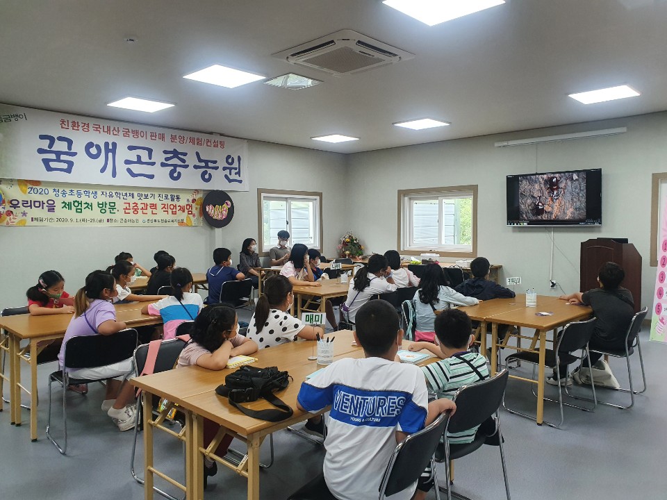 꿈애곤충농원