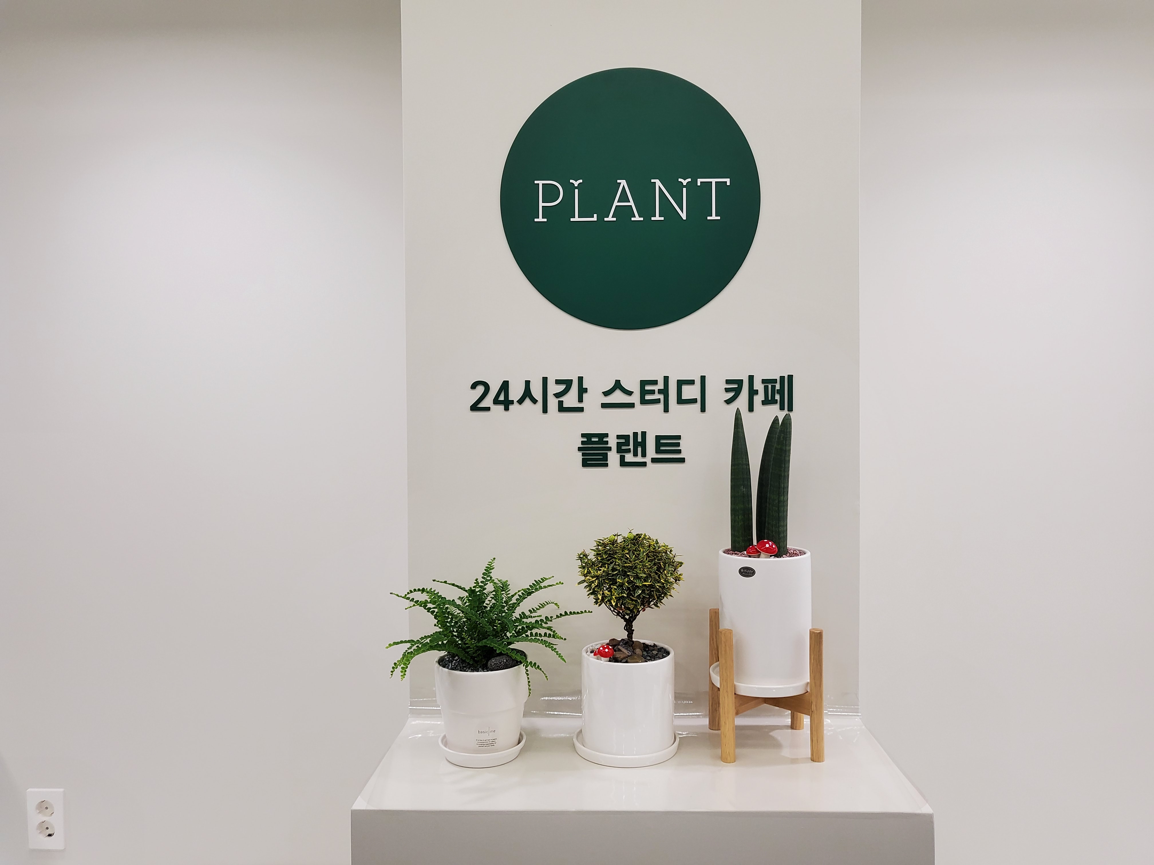 업체사진