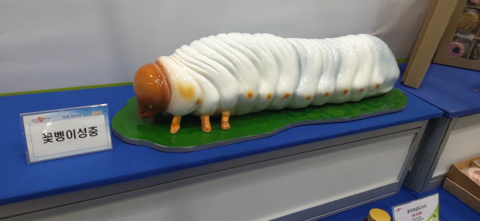 꿈애곤충농원